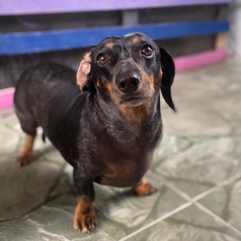 Bella raissarprodossimo@gmail.com