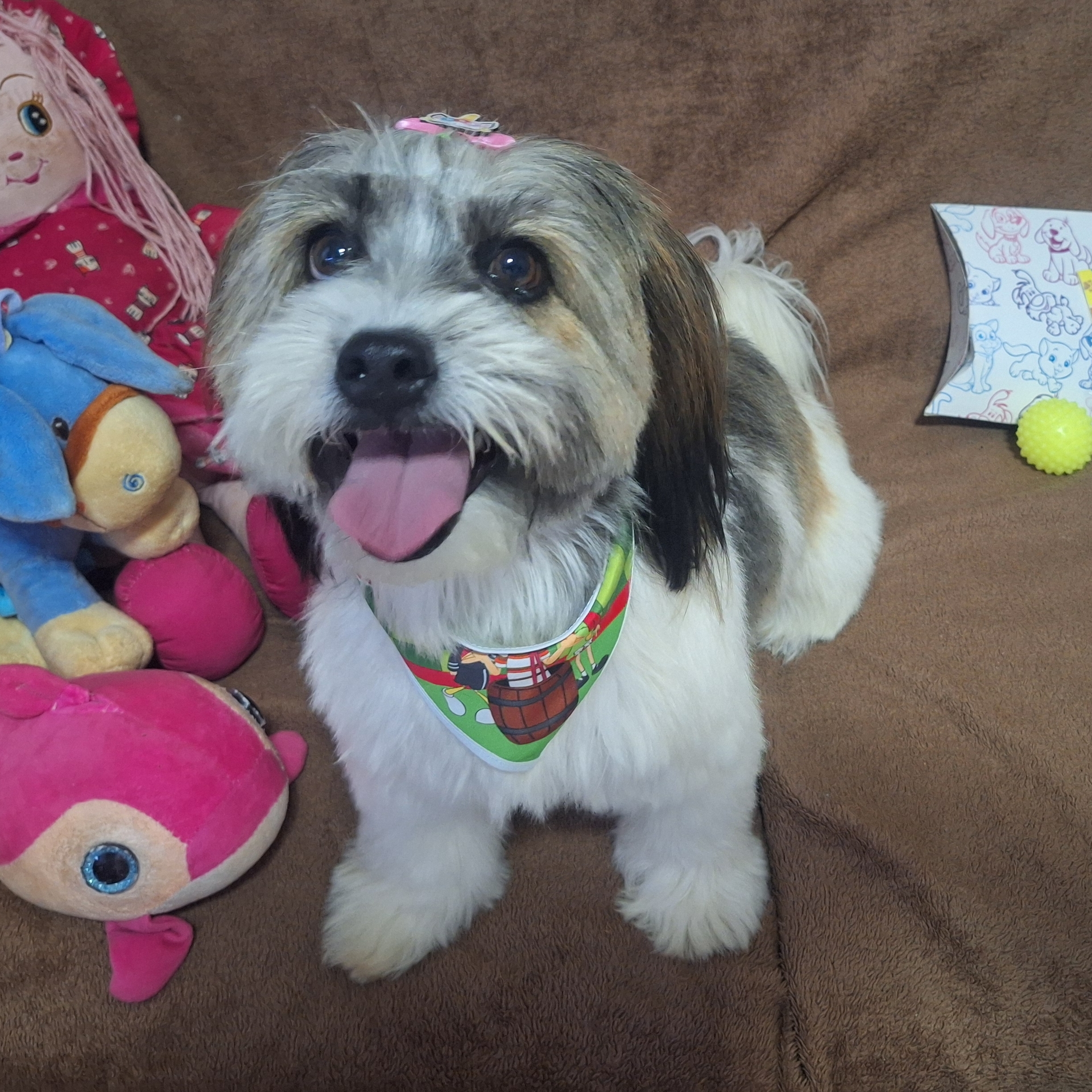 Chiquinha Maria  Carolina Portela de Souza 