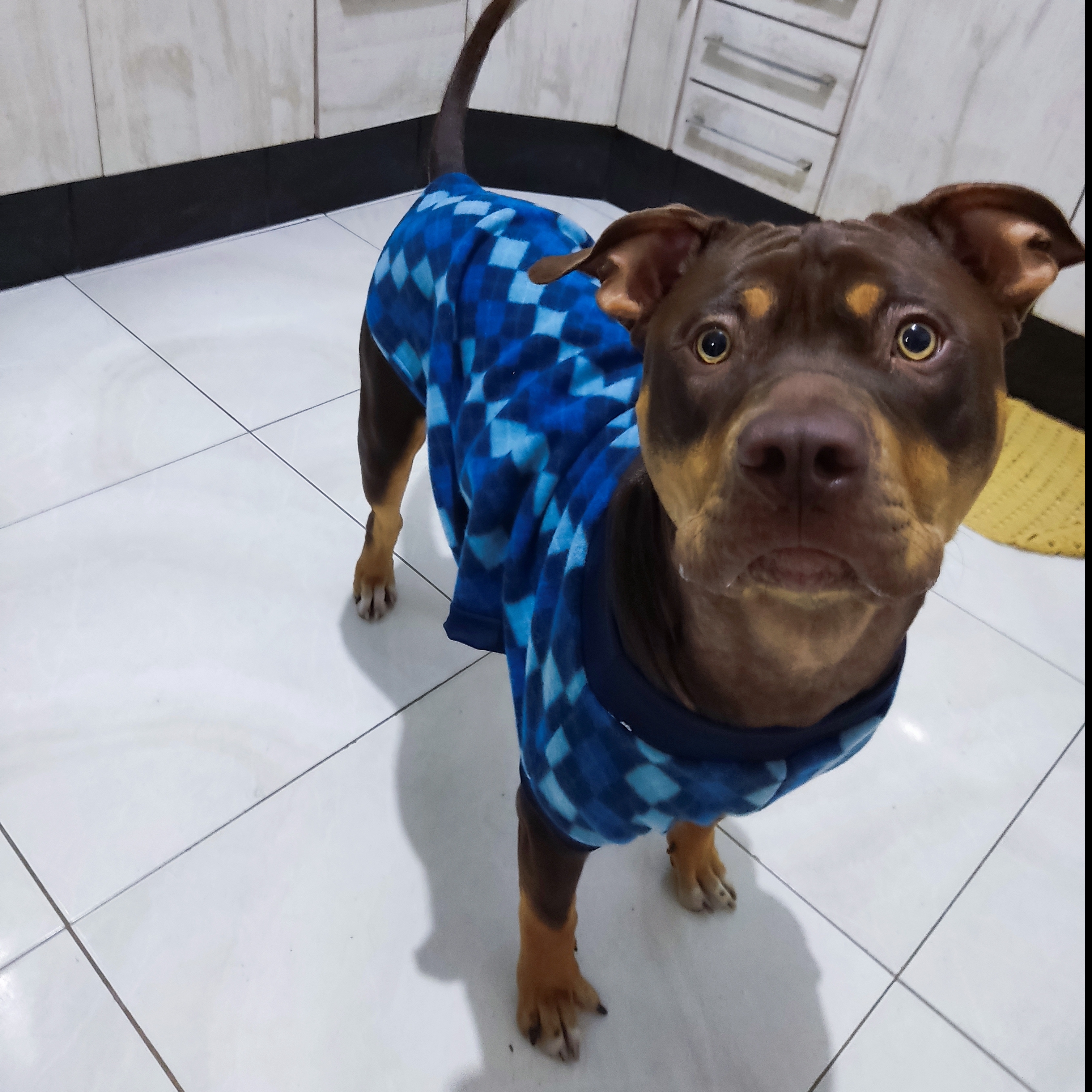 Maverick Fábio e Elida