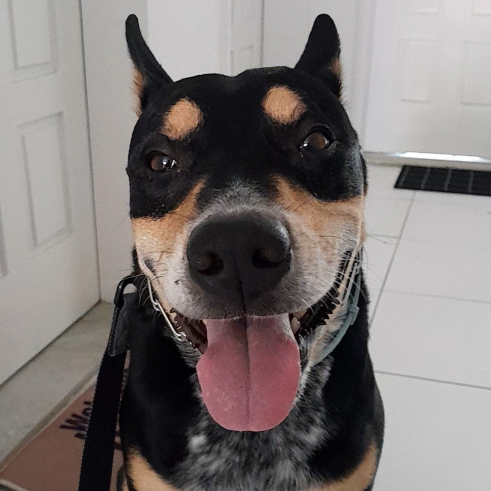 Thor Mariana Brito Costa 