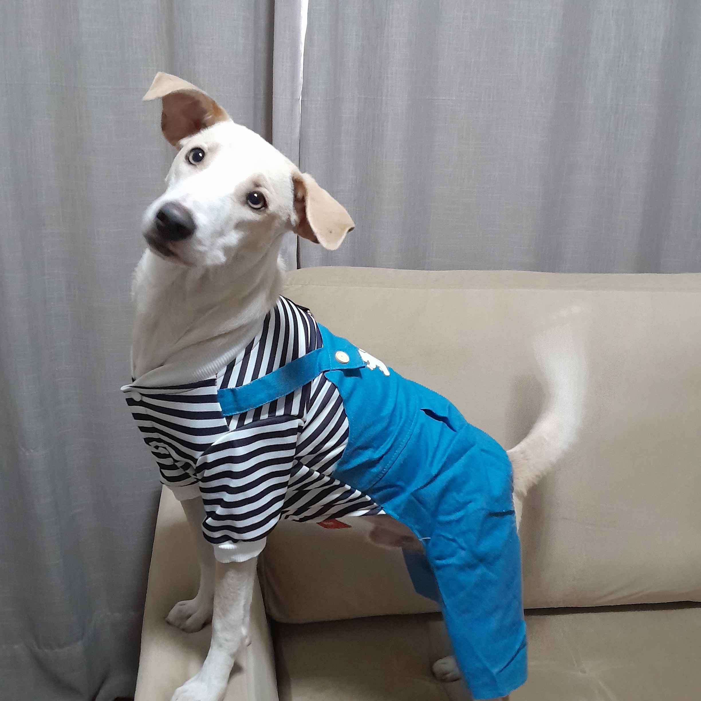 -Cleitinho Graça 