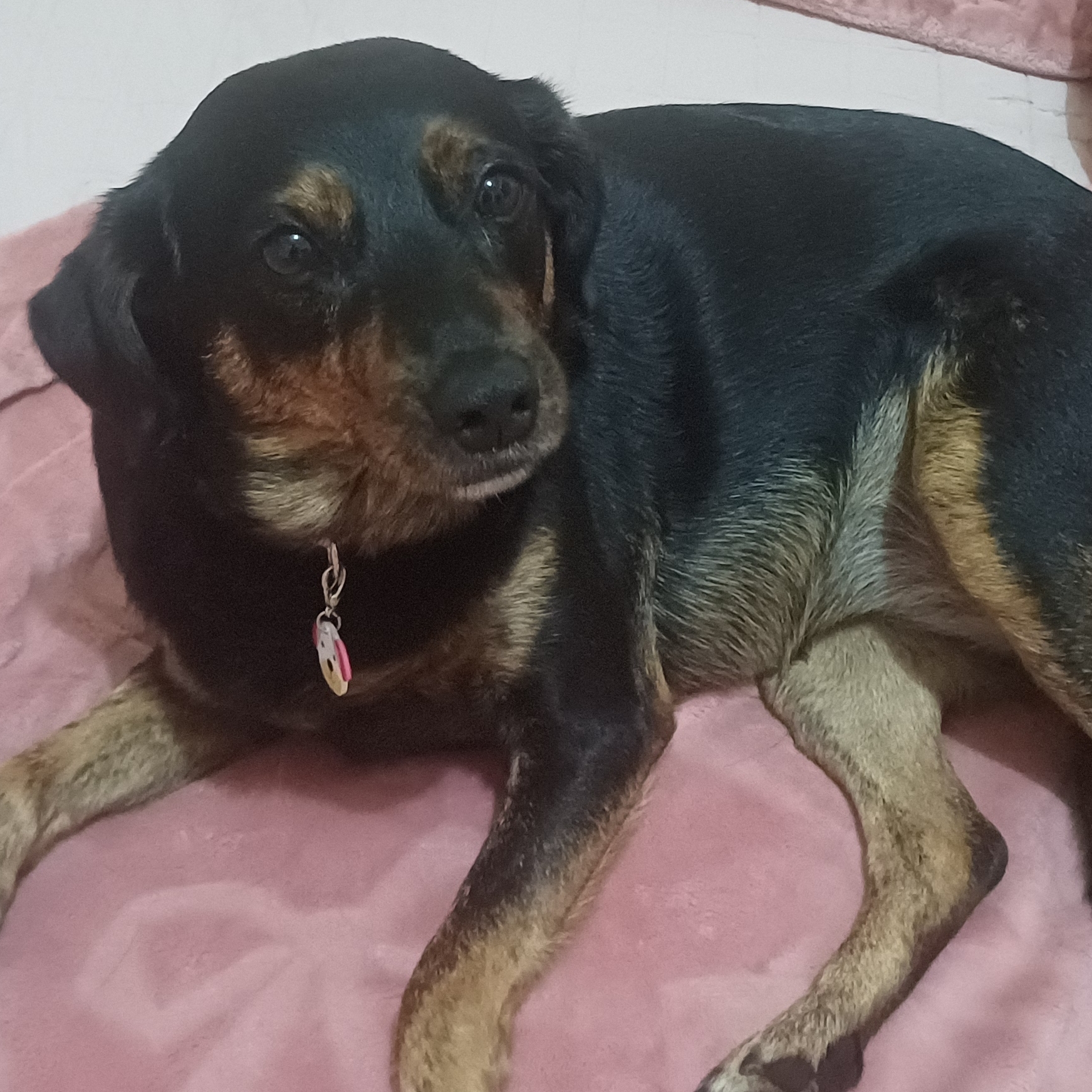 PRETINHA Angela Maria Pereira 