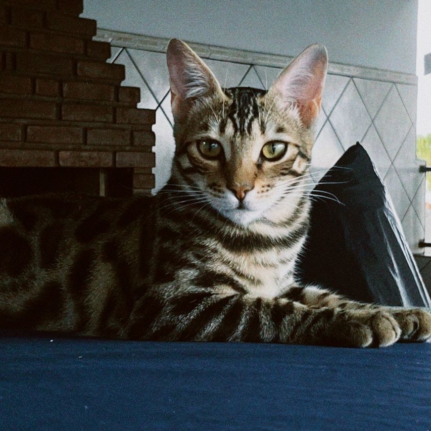 Oliver Lívia