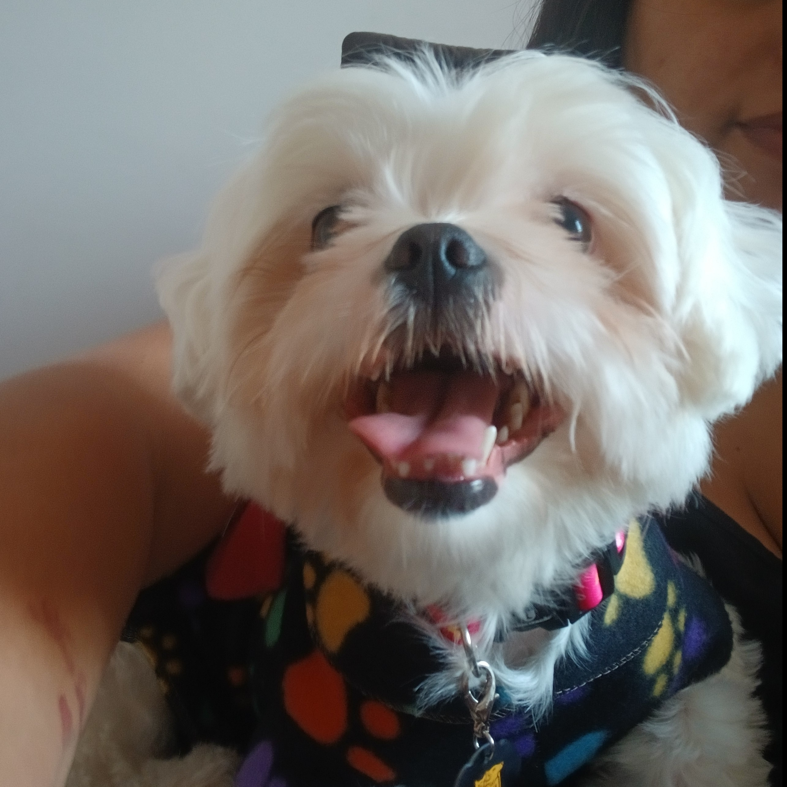Zoe Nunes Batista  Tamiris Santos Nunes 