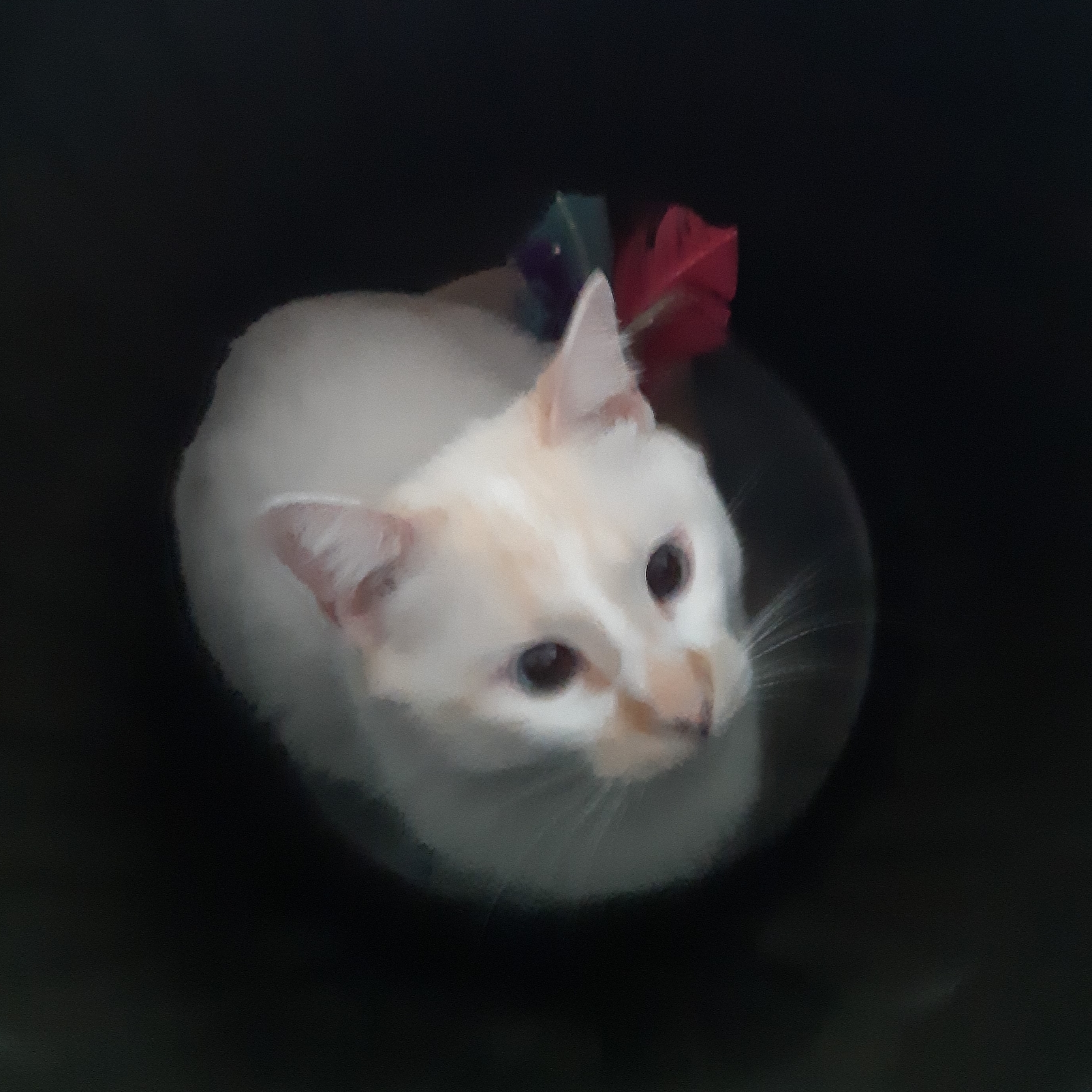 Milk Loren