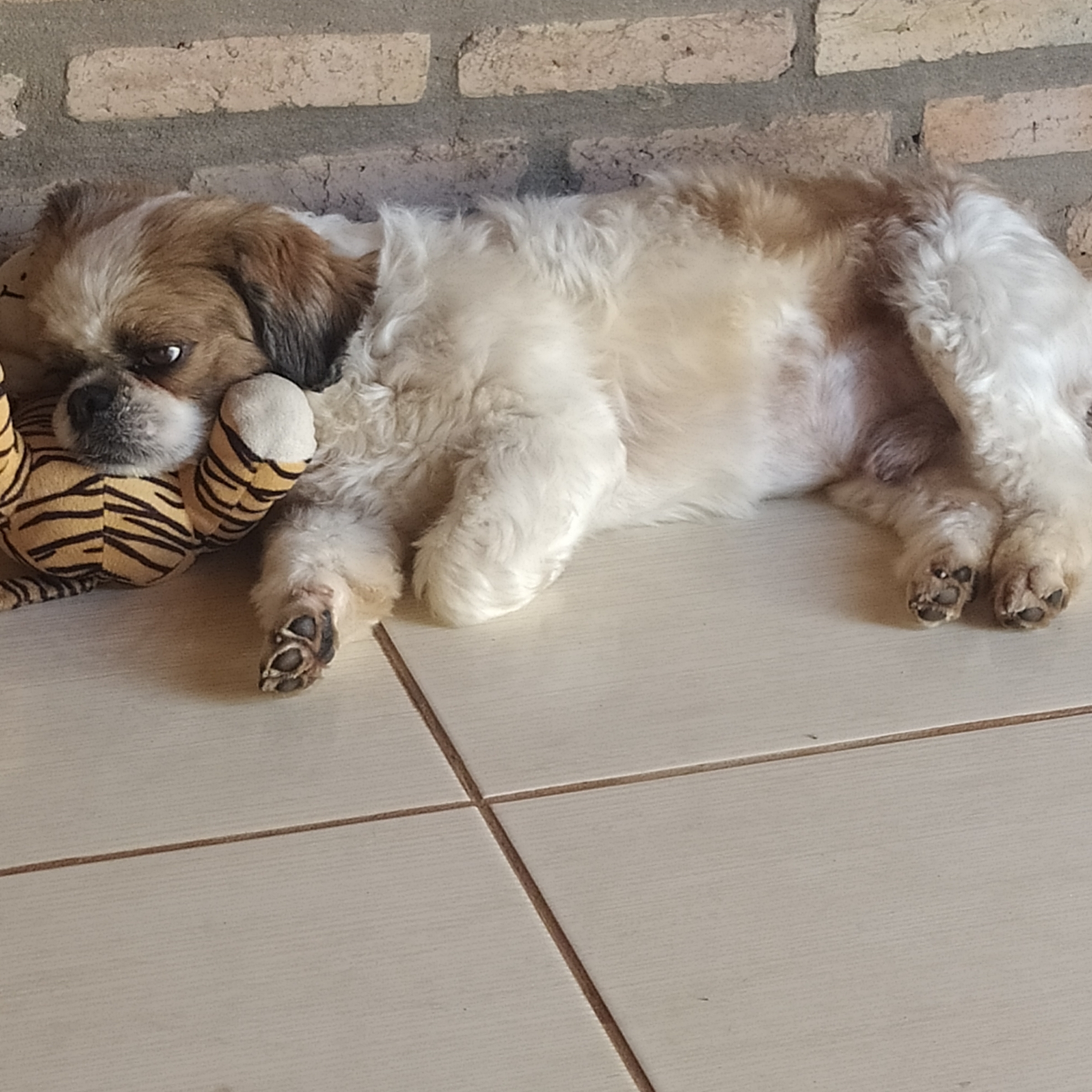 Fred Rita e Pamella 