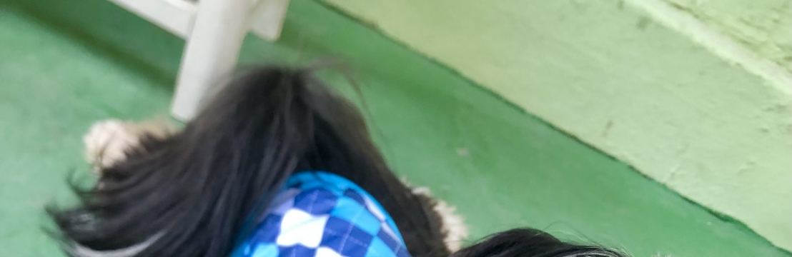 Thor Henrique Aureane priscila sarmento lemos 