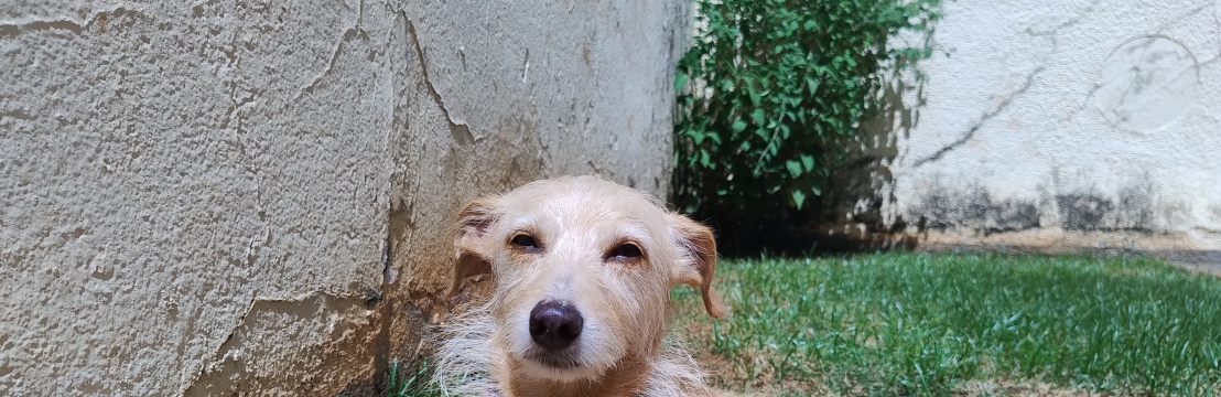 GigiJéssica 