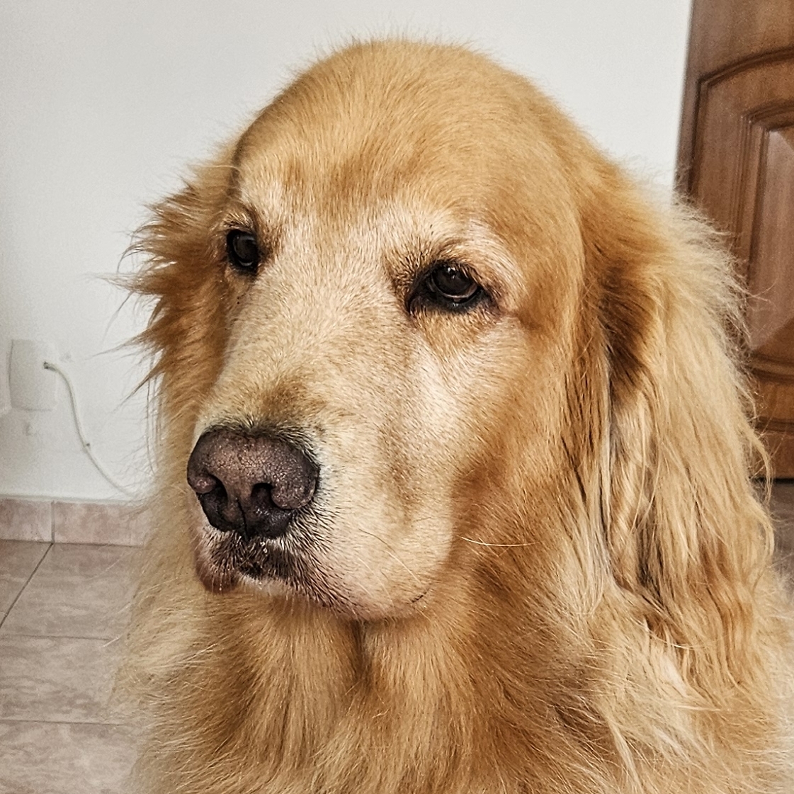 Logan Carlos Eduardo Elias de Sousa