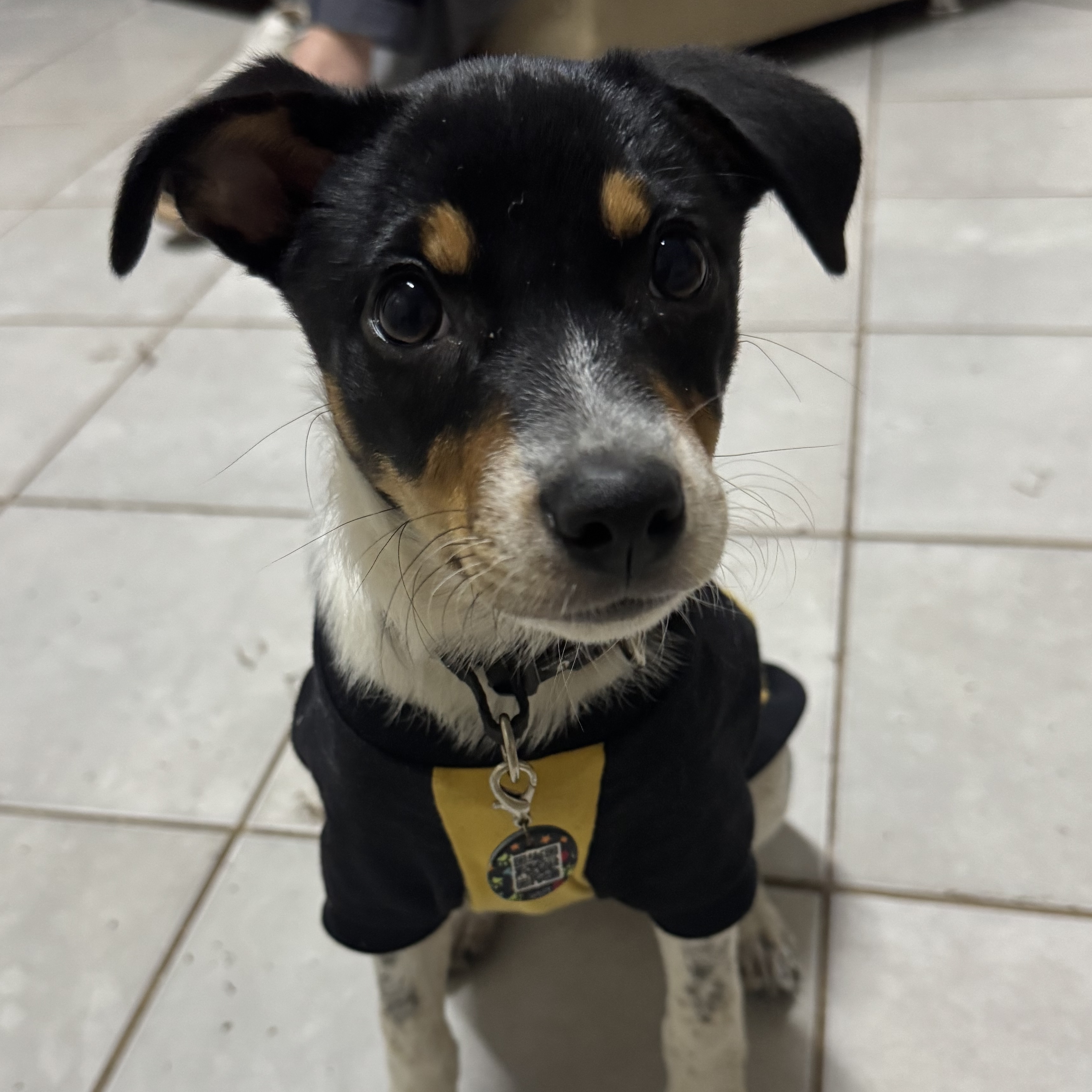 Luna Maria Marlene