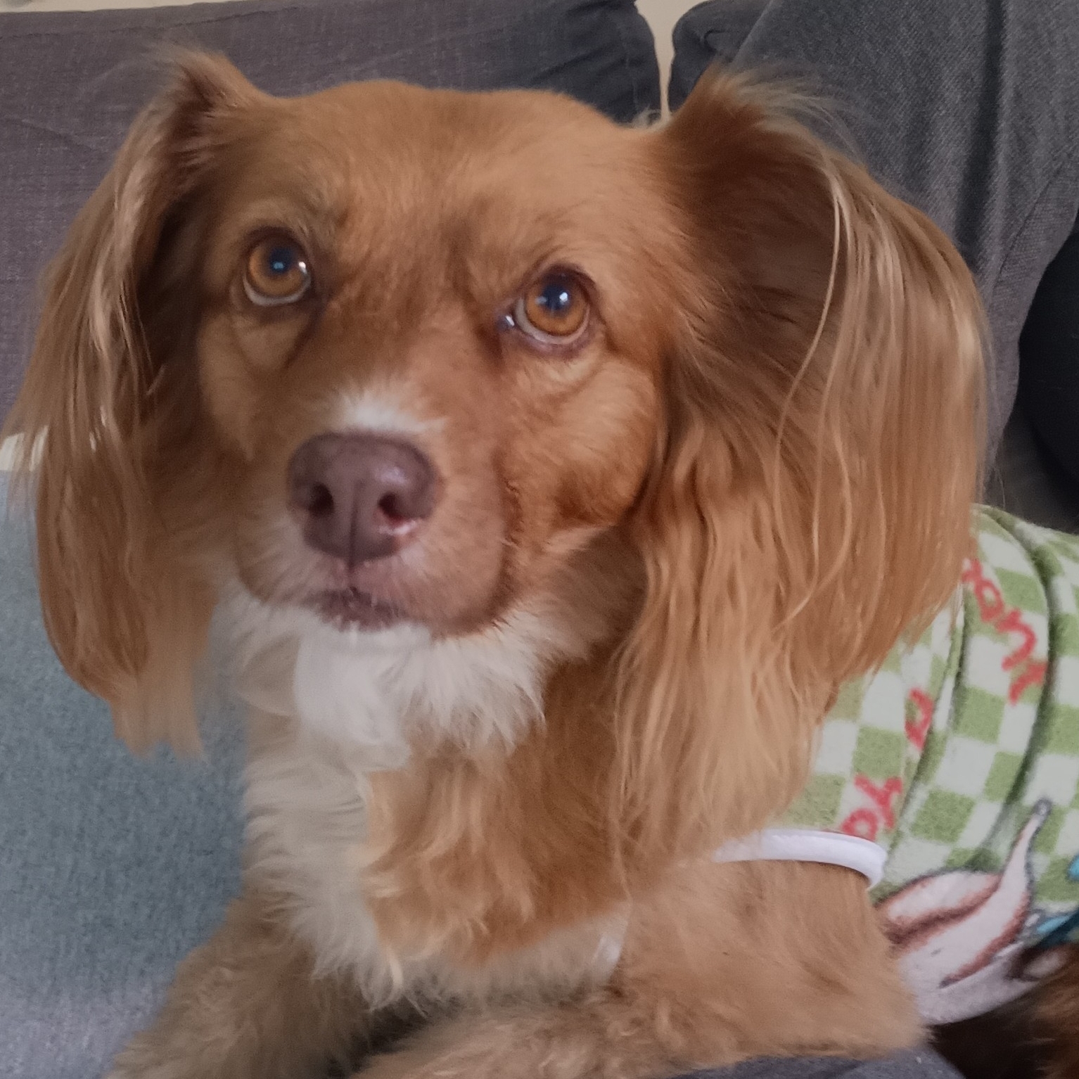 Sookie Carmem Guimarães 