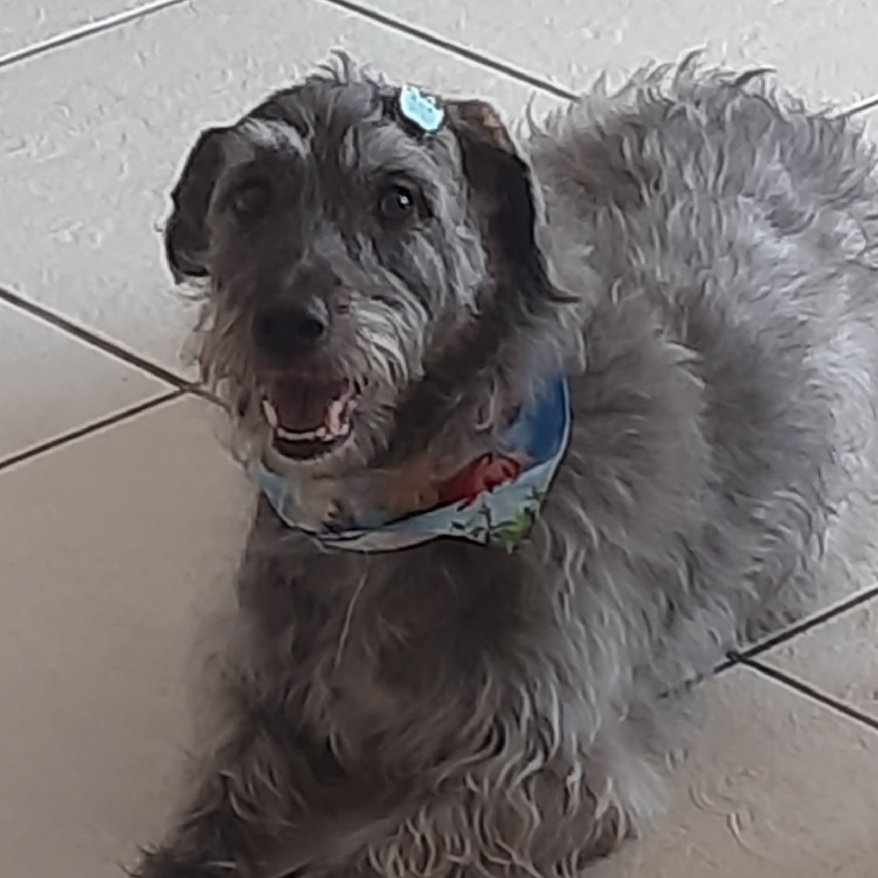 Duke Fernanda Lorenzon Severino Murakami
