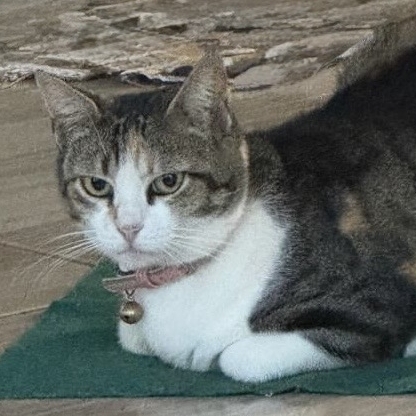 Zoe- Ângela Maria Ribeiro Leite