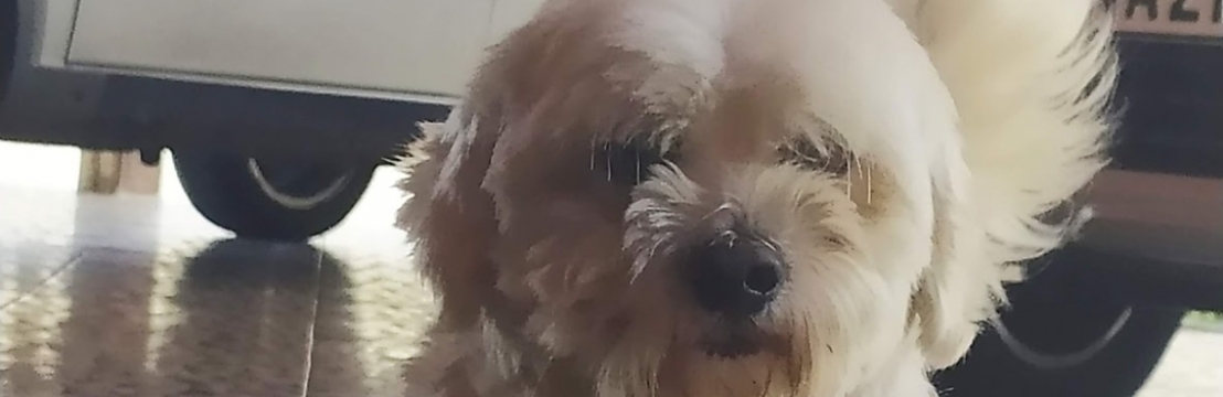 FOFOWilberth Coelho 