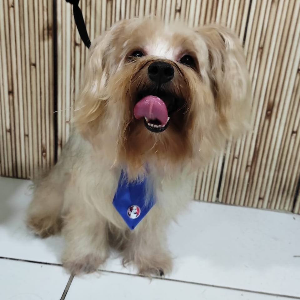 -Thor Junior