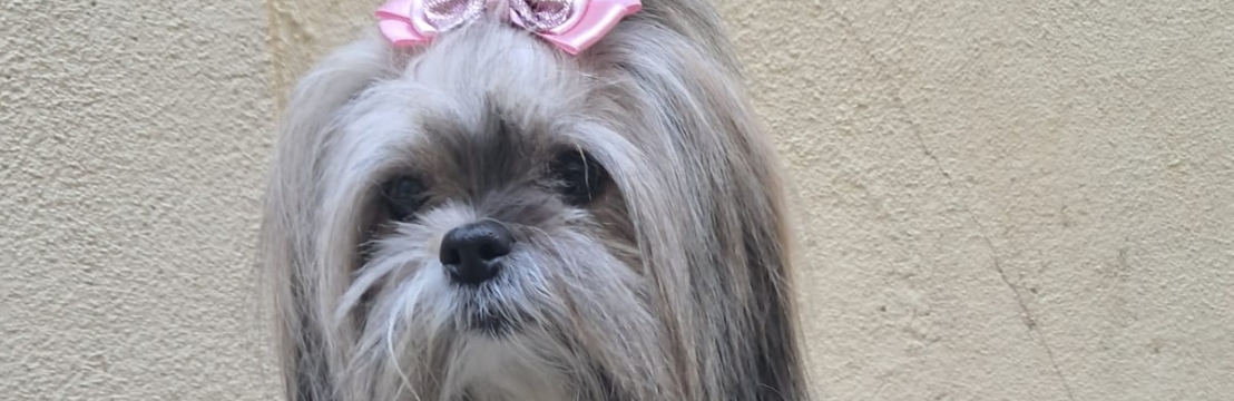 -Bia SouzaSebastião Souza Filho
