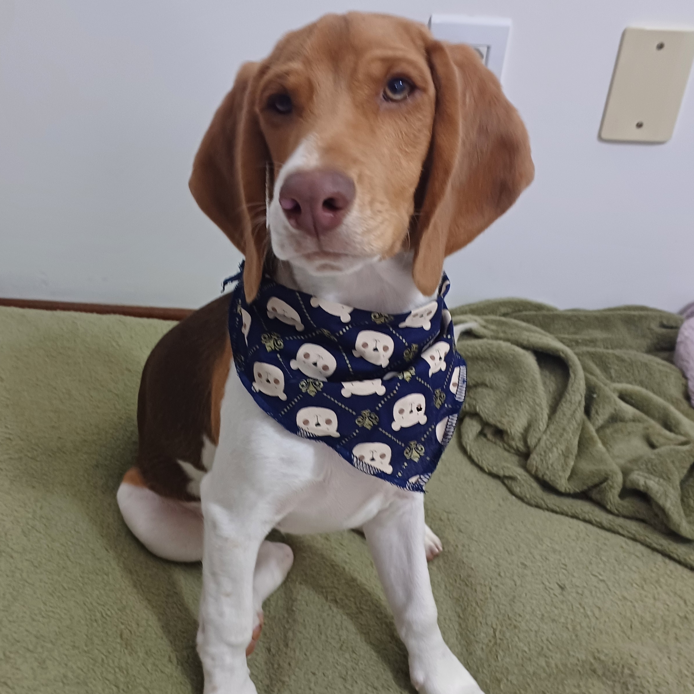 Teddy Alessandra Vieira de Souza