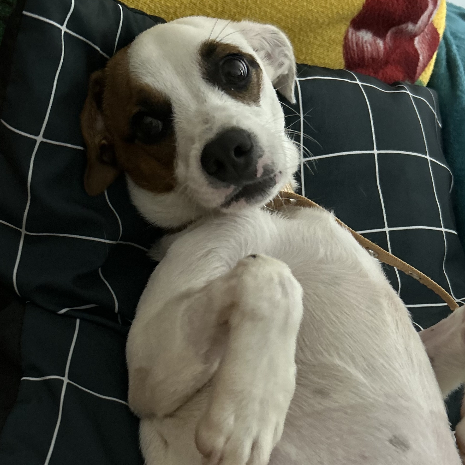 Zoe Roberta