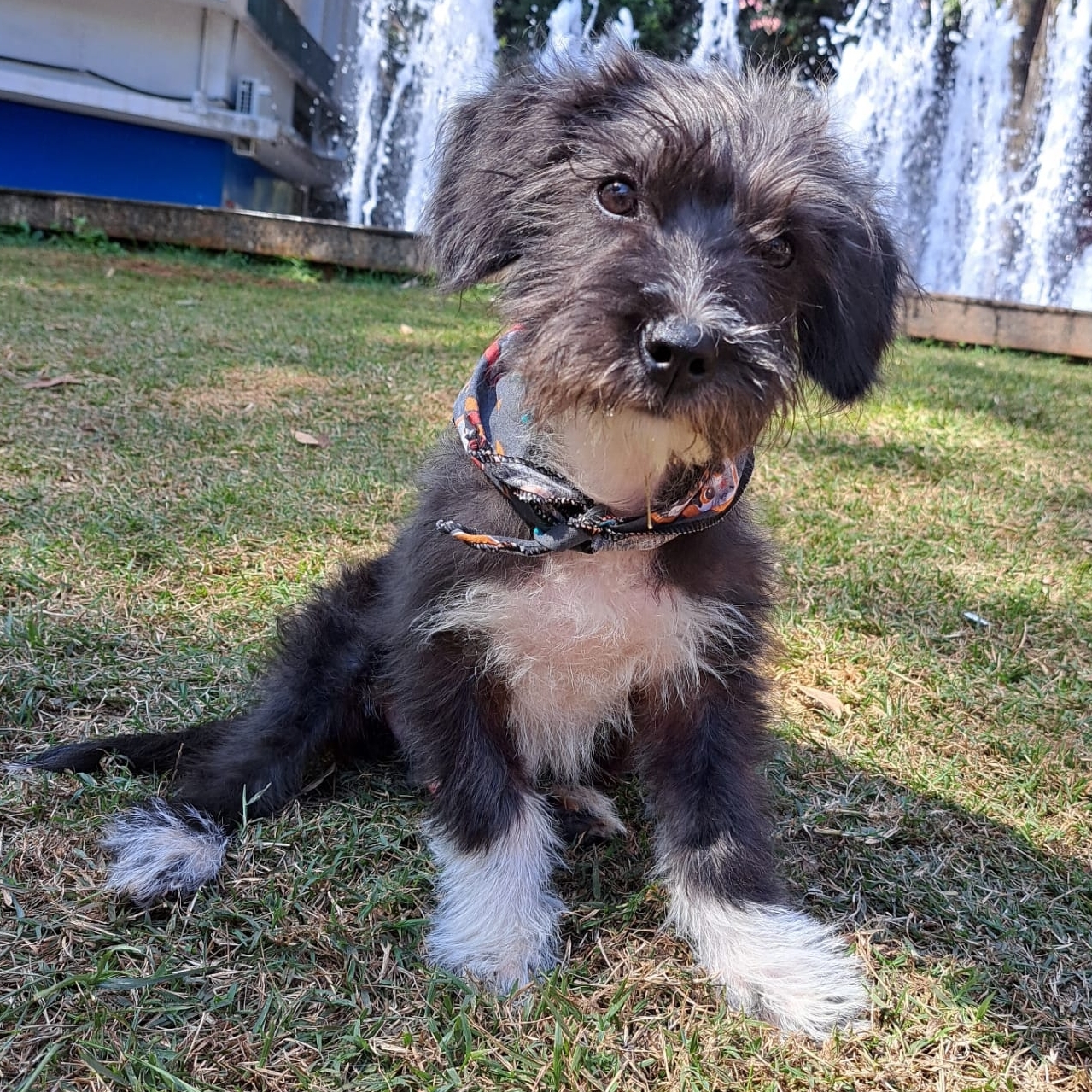 Balú Si Soeiro