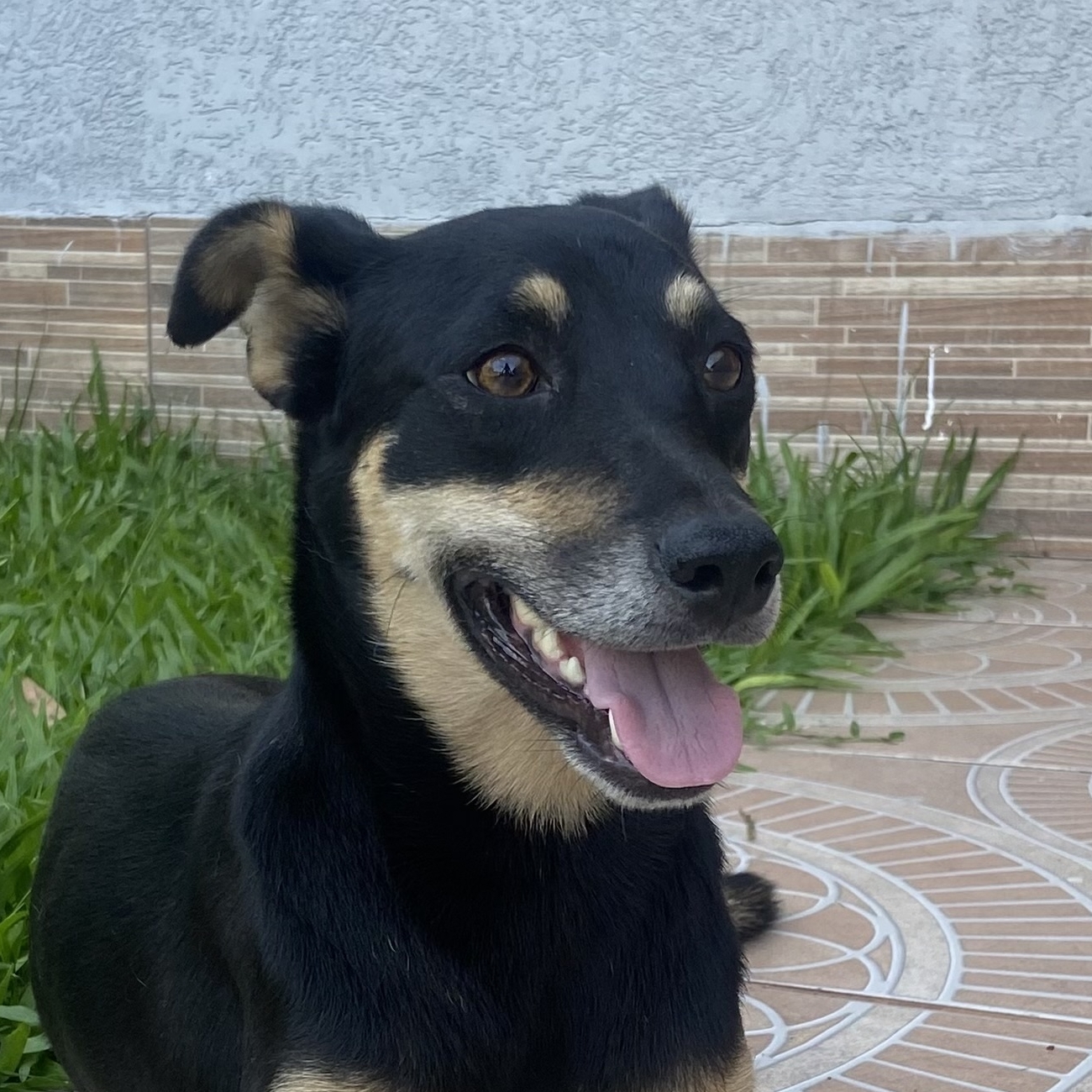 Preta Adrielli Greiner dos Santos