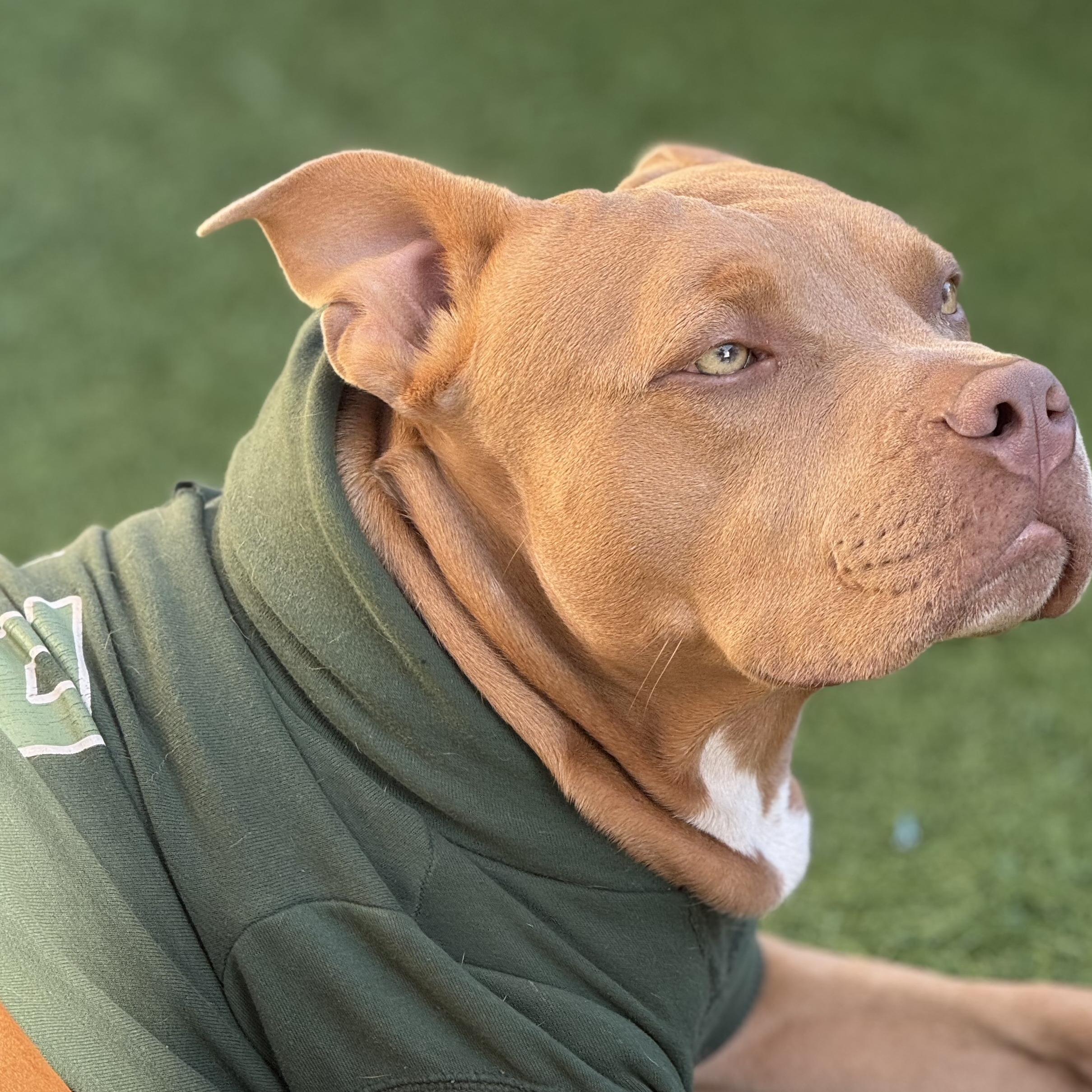 Zion Caroline