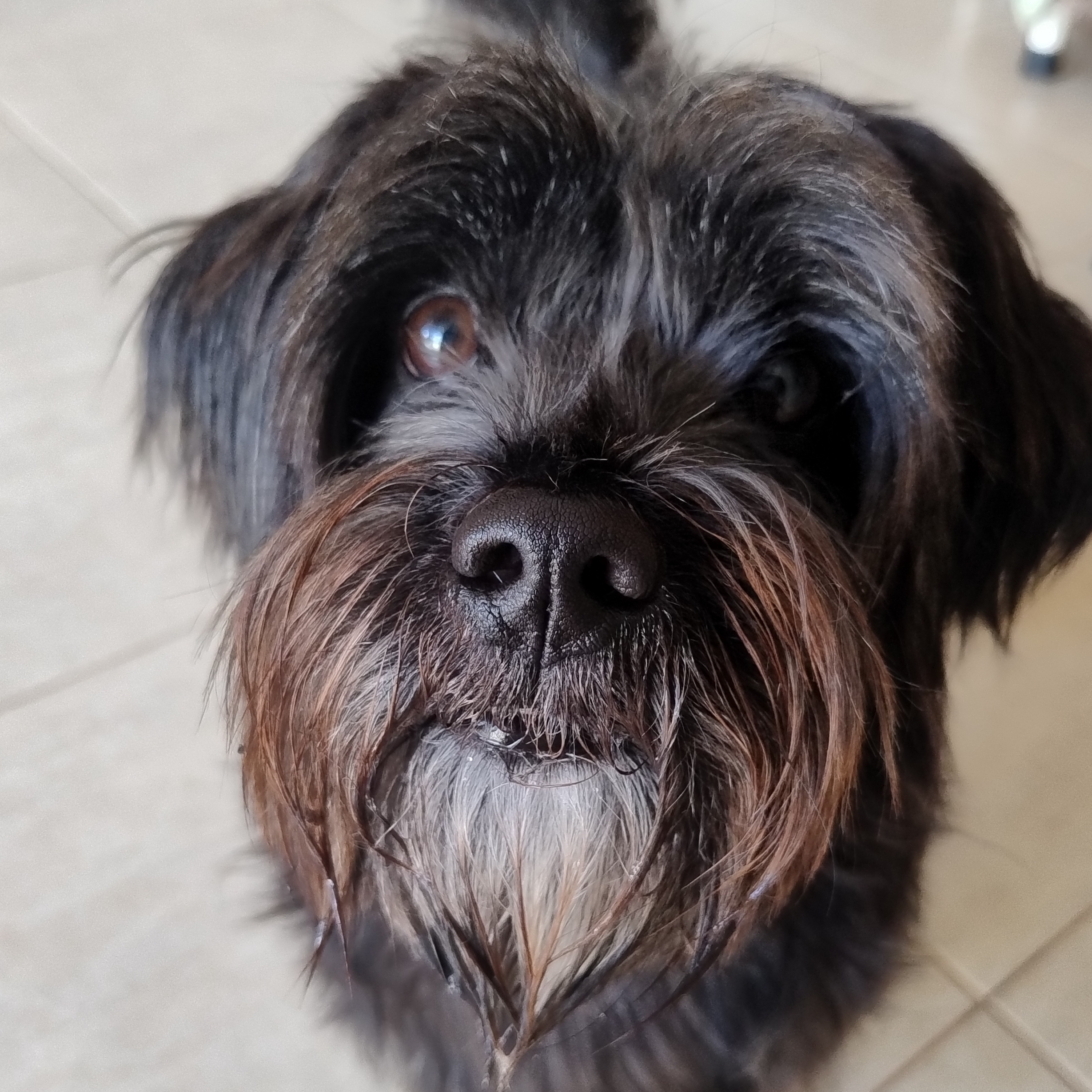 Tobby Elias  Carlos Ondei 
