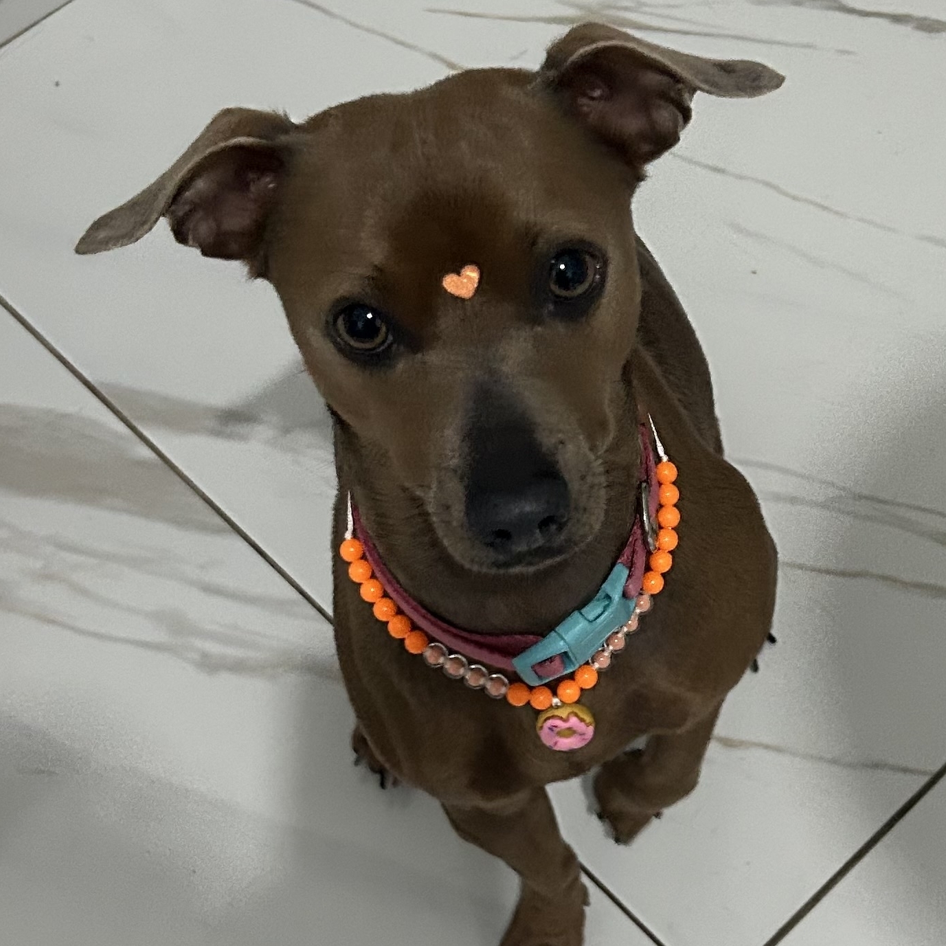 -Dulce de Leche  Yasmim Aristimunhk 