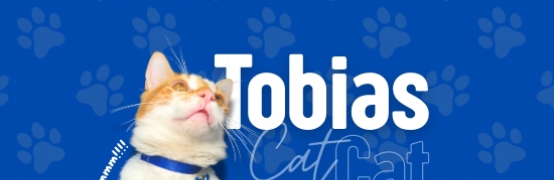 -Tobias Cat Kimberly Ribeiro 