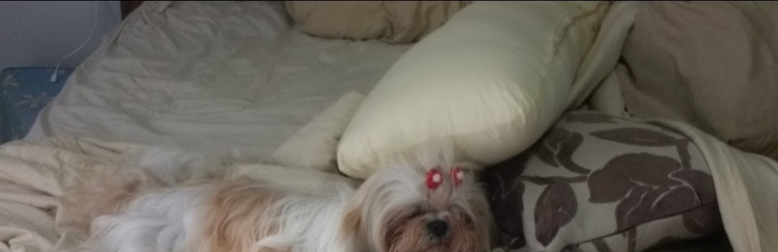 -CacauLilian Bezerra de Souza Dal Pizzol 