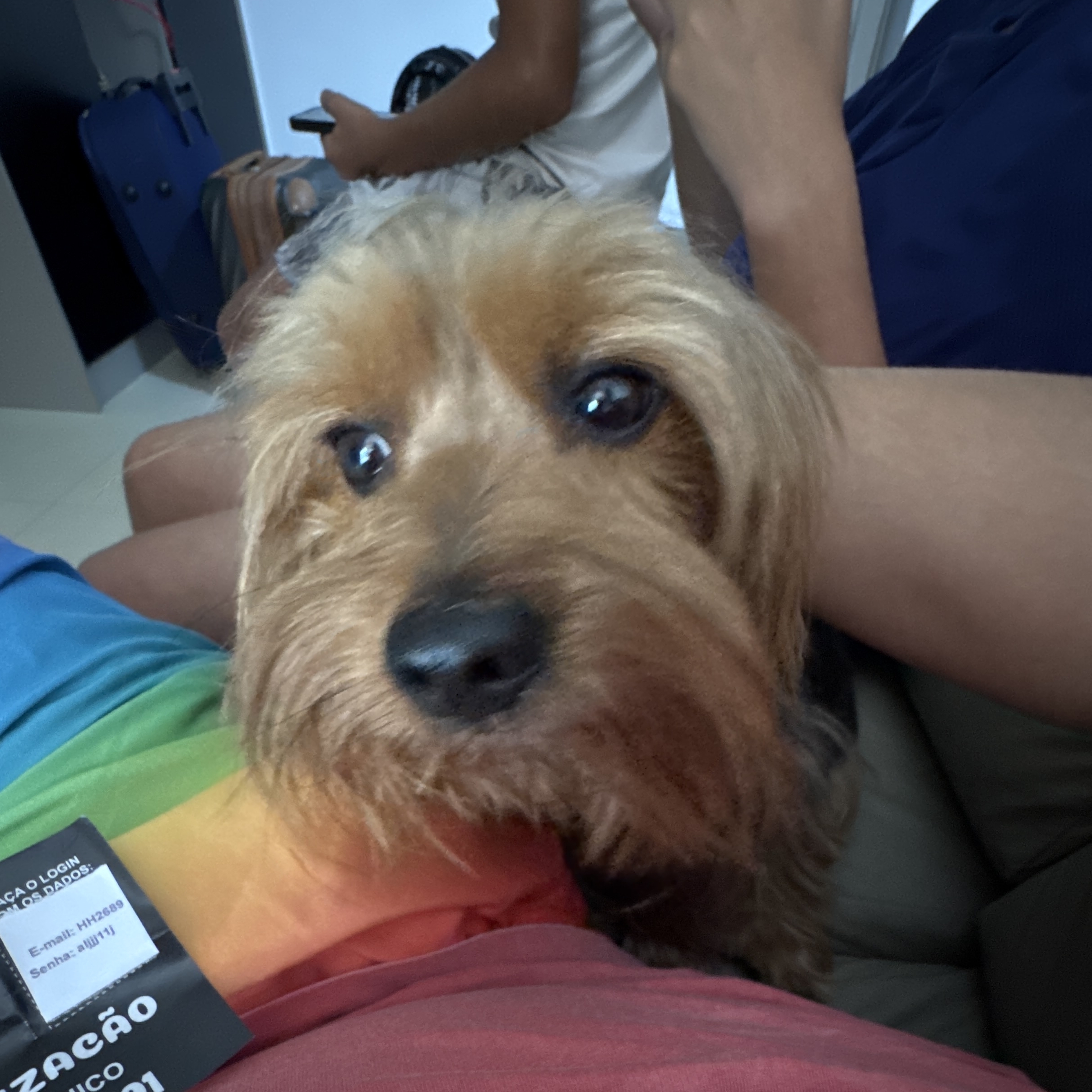 Bob Pereira Marques Renata Eugênia Pereira Guimaraes
