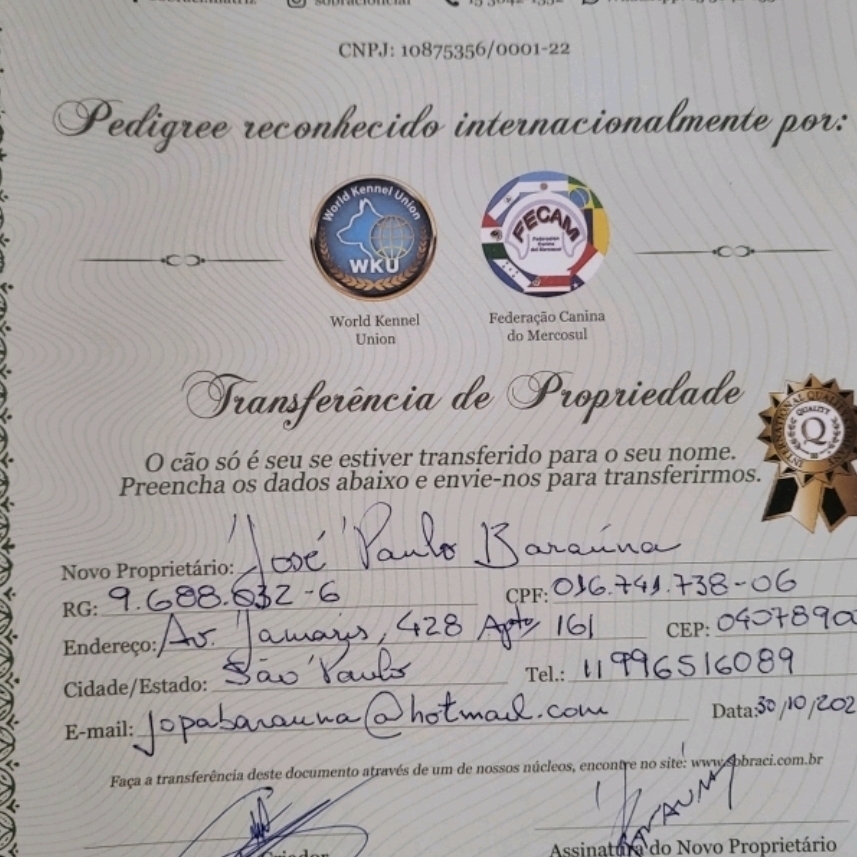 HECTOR JOSE PAULO BARAUNA