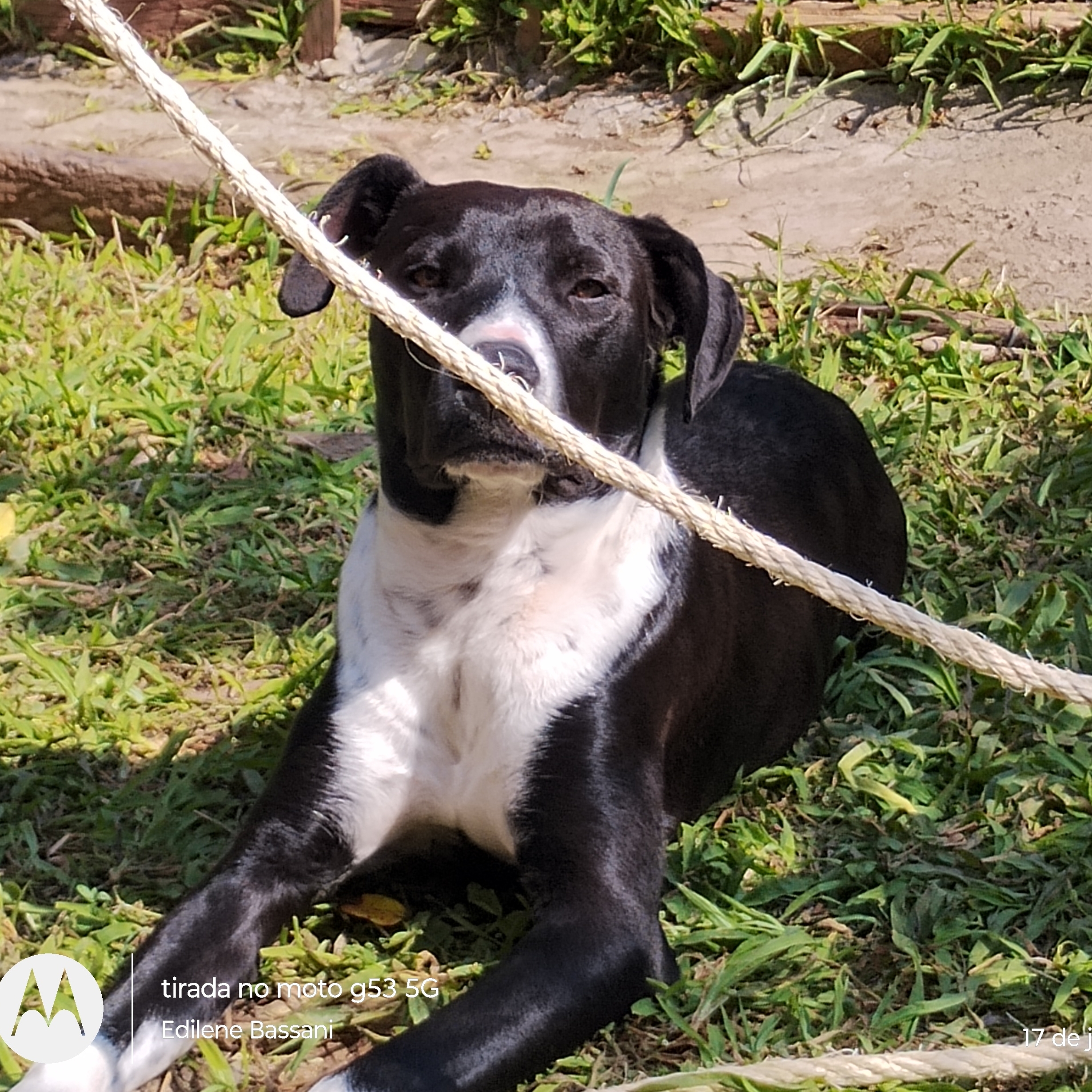 -Zeus Edilene Bassani Siqueira 