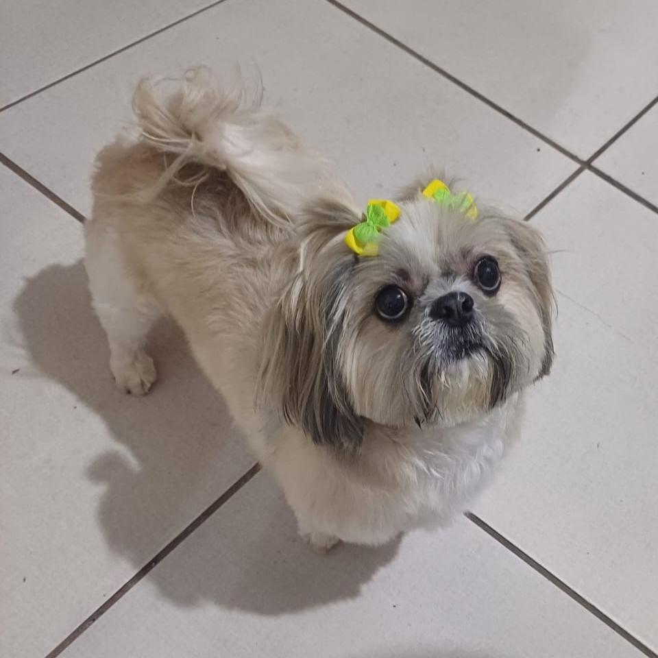 Sophia Queiroz Manu Queiroz