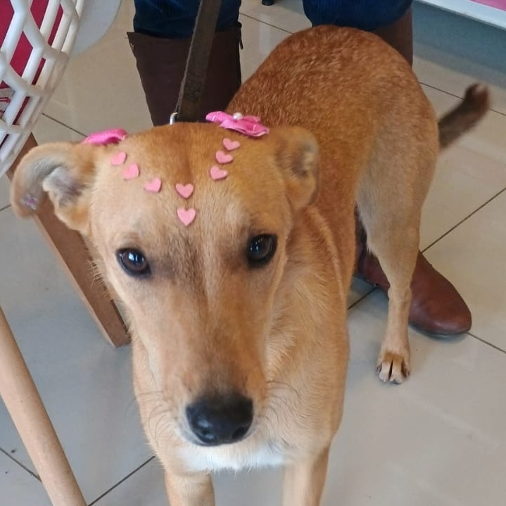 Caramela Sou Comunitária / ONG OPAA
