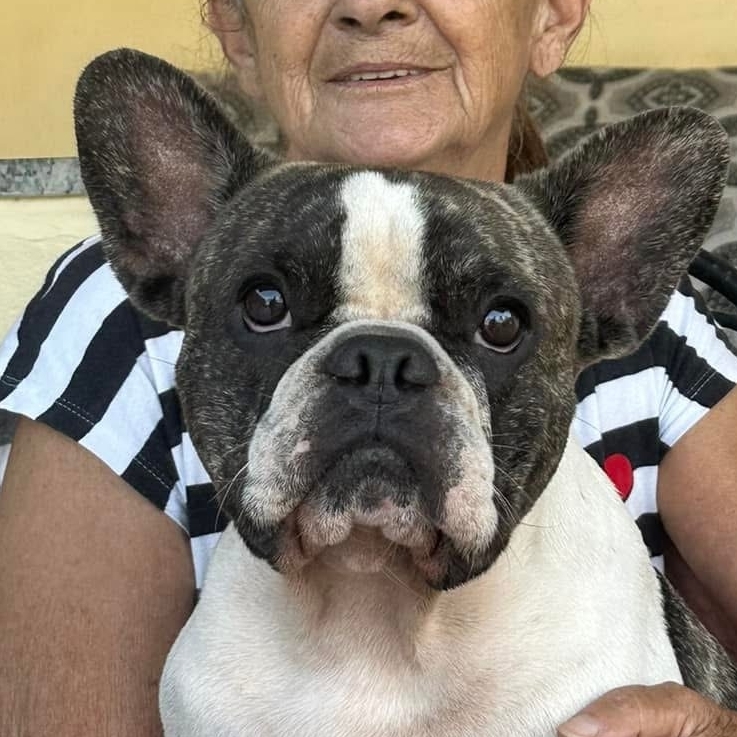 Rodolfo Mendes Renata Mendes