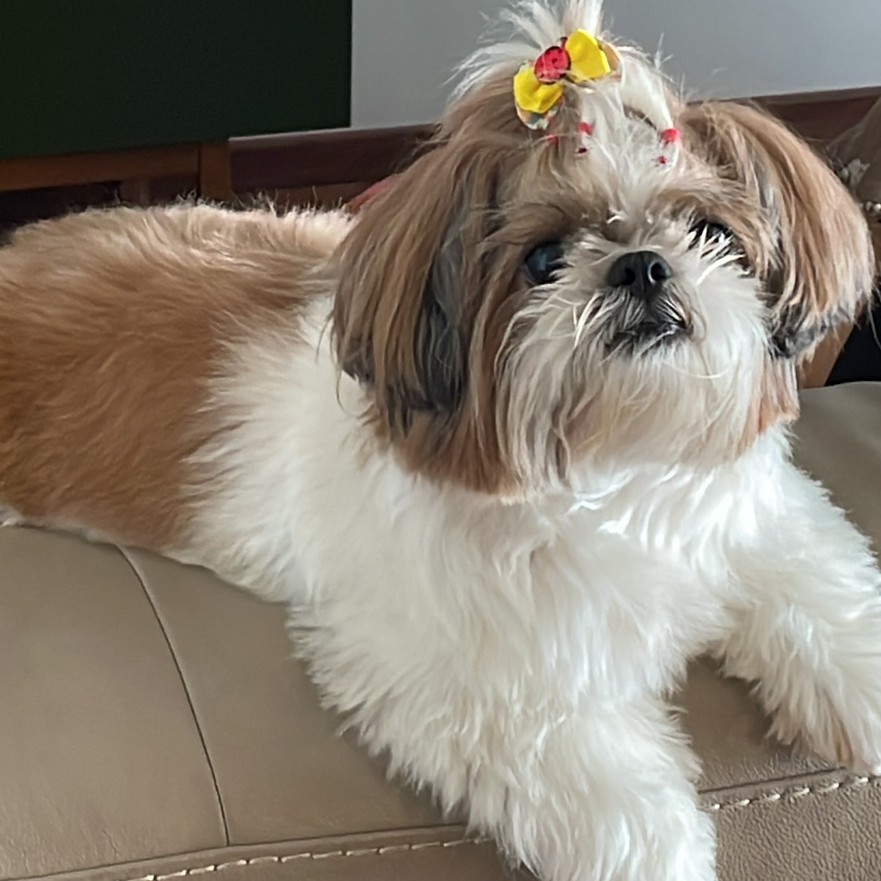 Chanel Ohana Jussara 