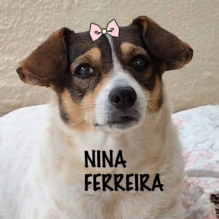 NINA FERREIRA MARIA APARECIDA FERREIRA