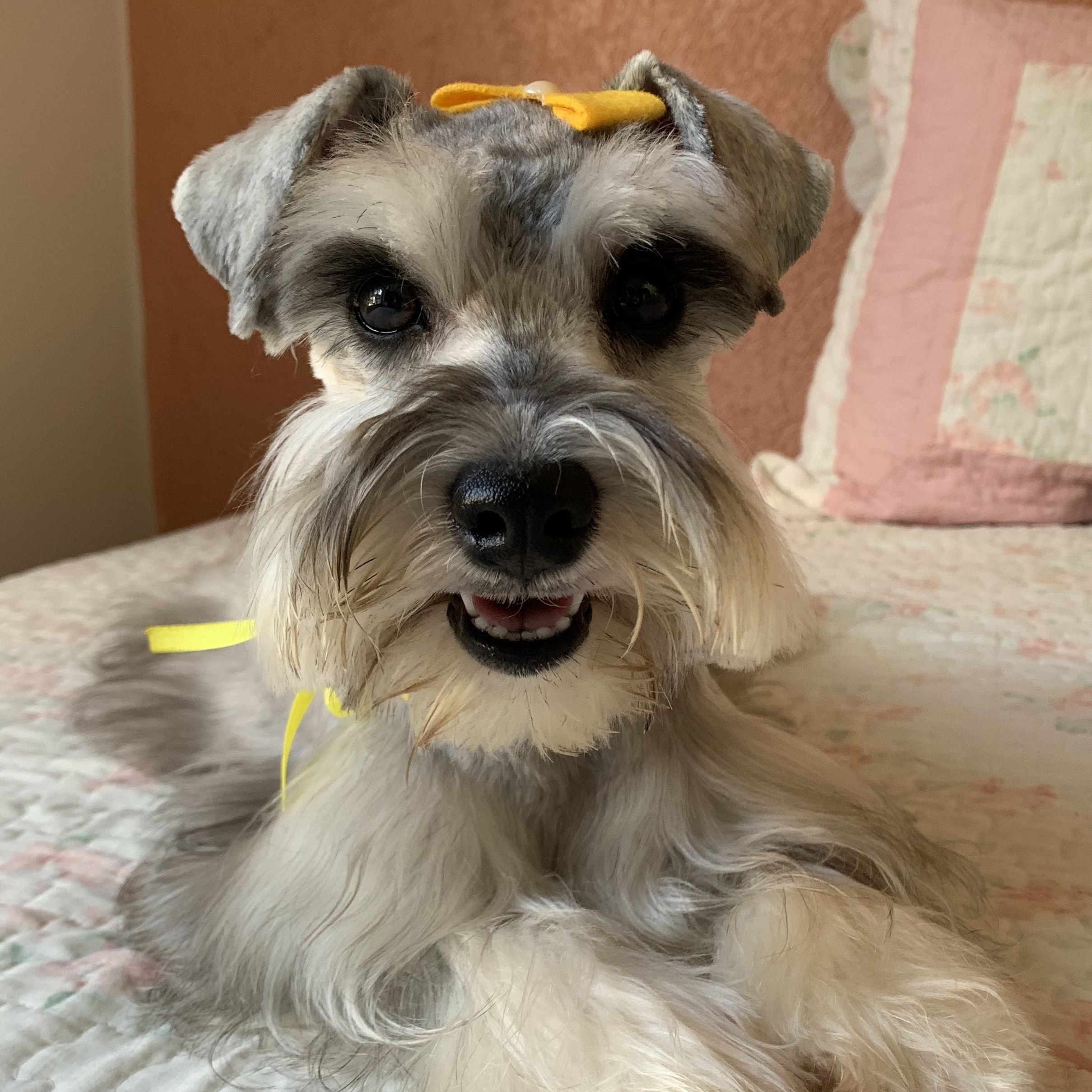 Jully Sandra Martins