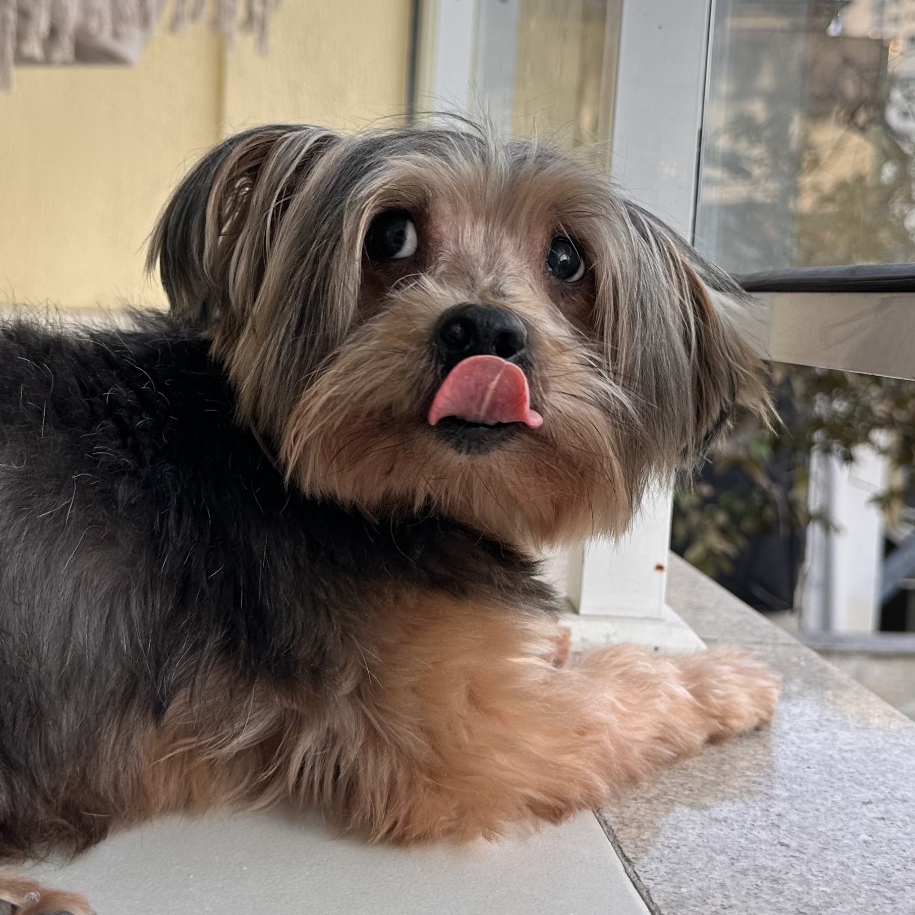 -puff  Fábio ou lorrayne 