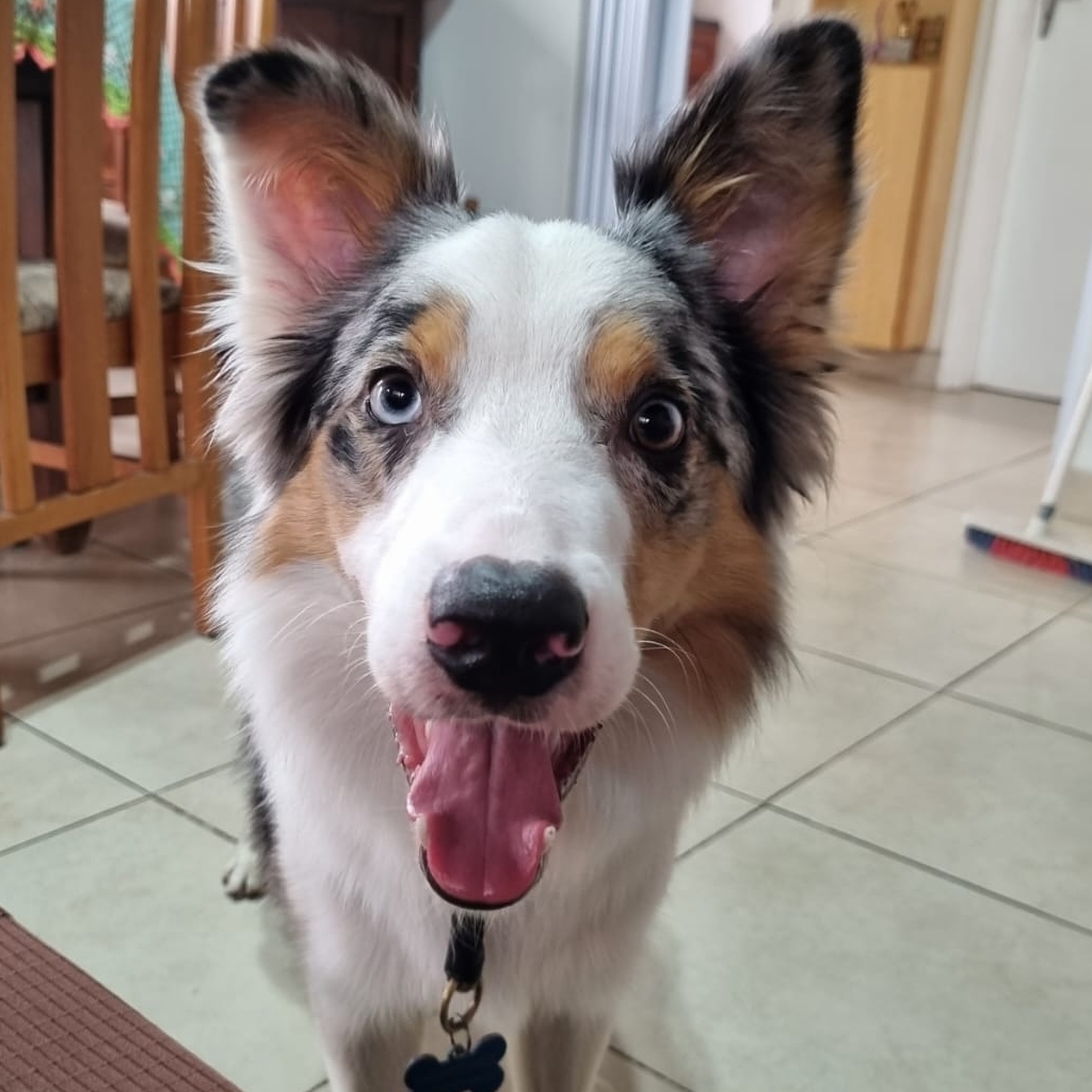TOFU  Eliane