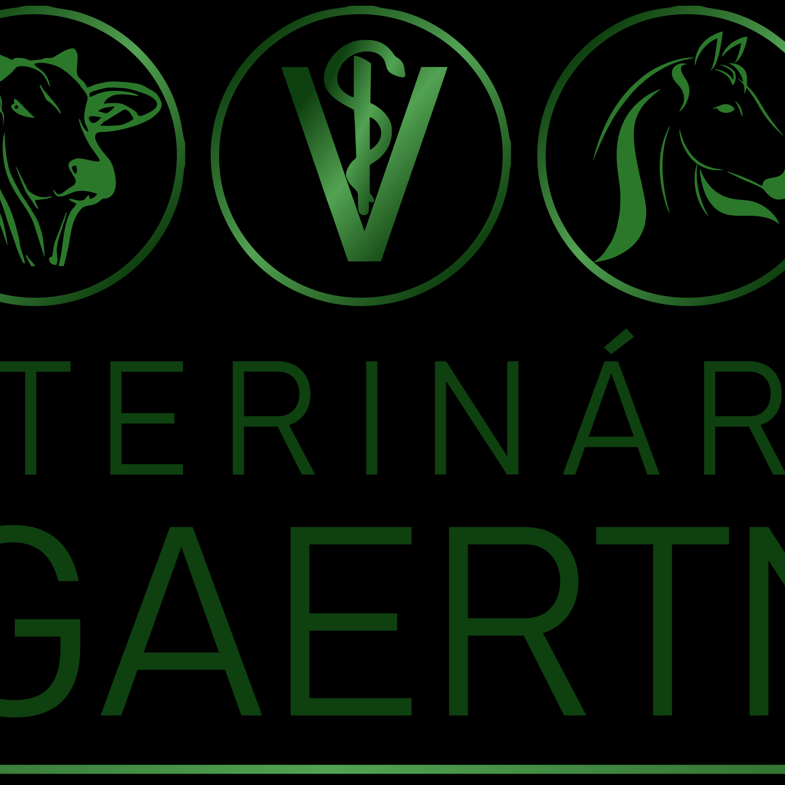 Frajola Veterinária Ivo Gaertnet
