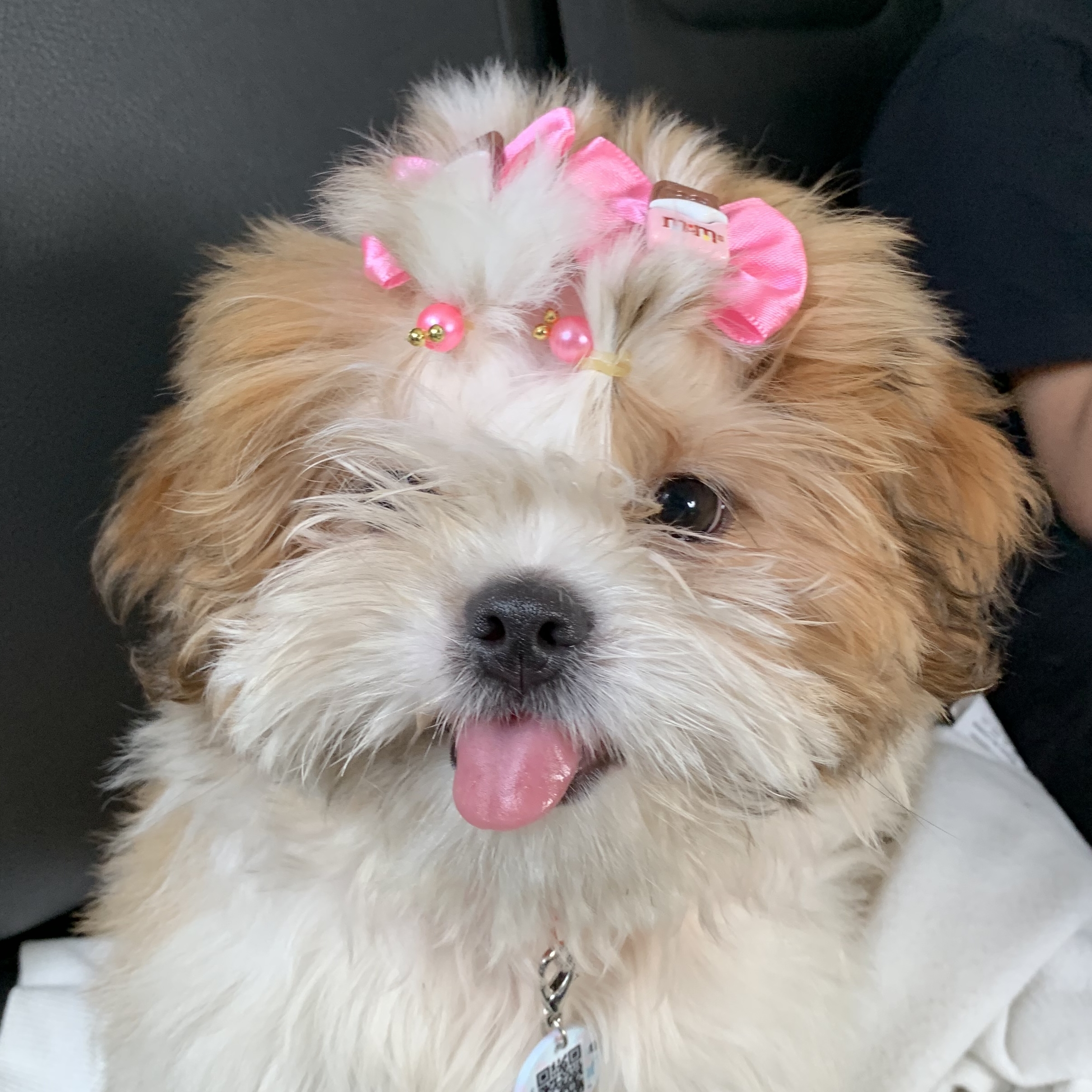 Amora Maria Eduarda
