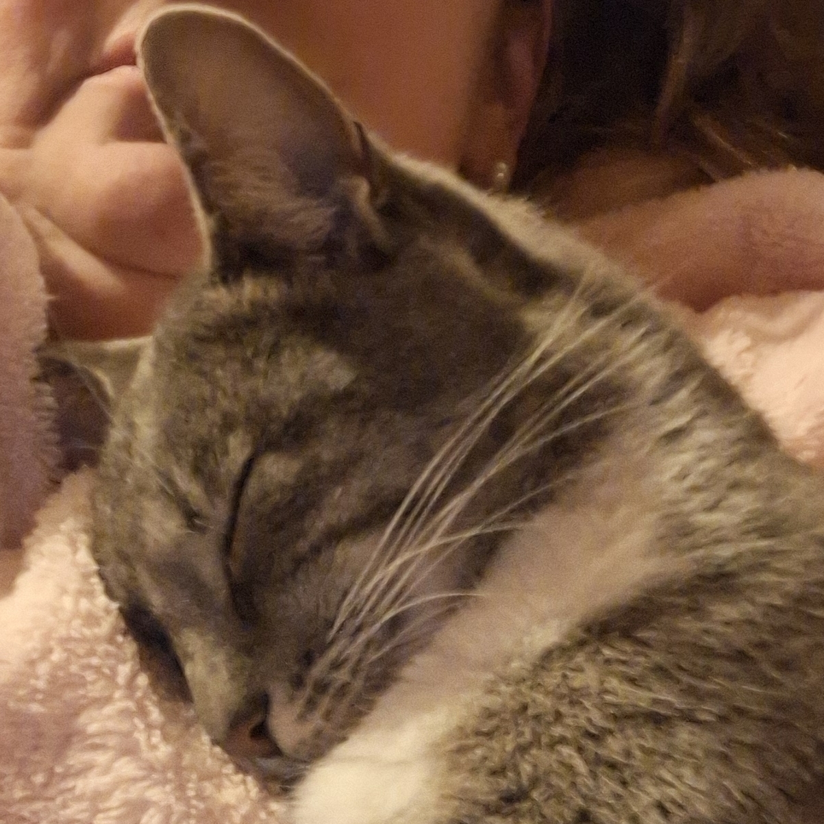 Maya Comenale Lieselotte Comenale