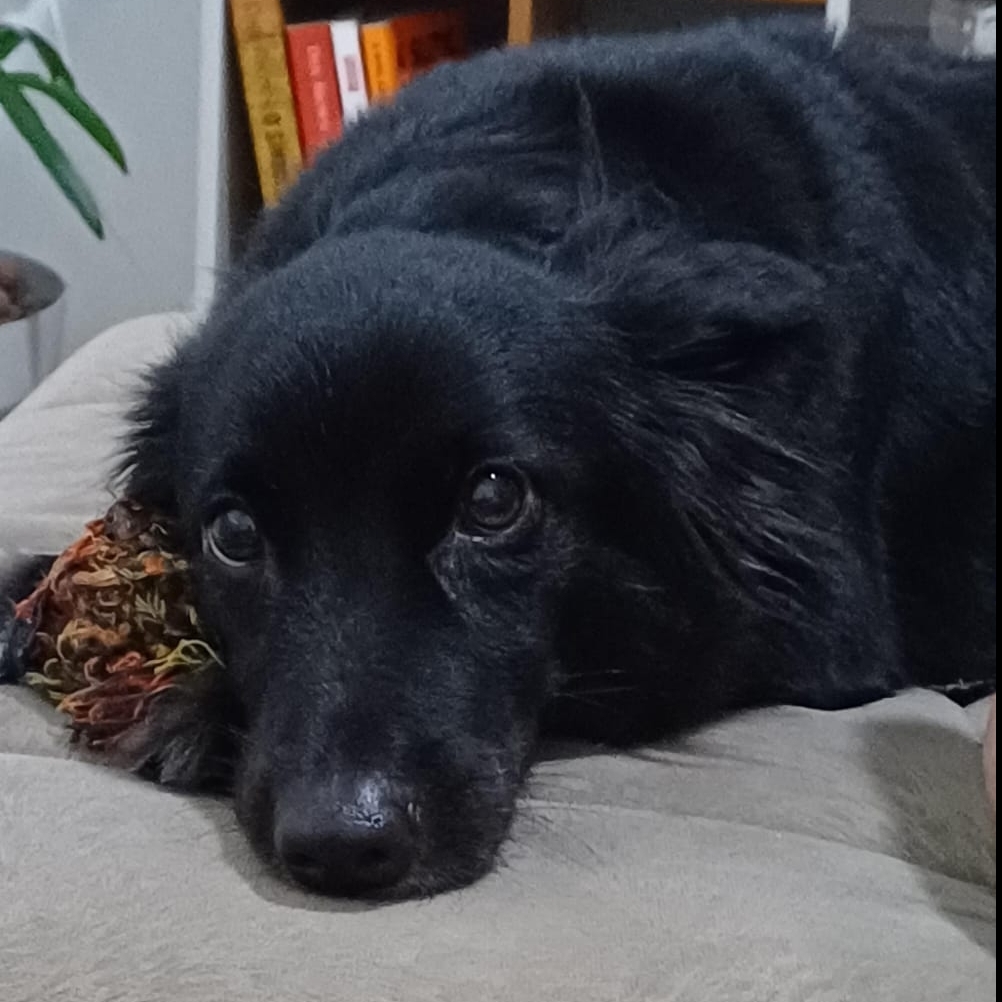 Luna Luana Mendonça 