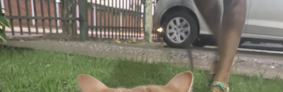 MiuPatricia 