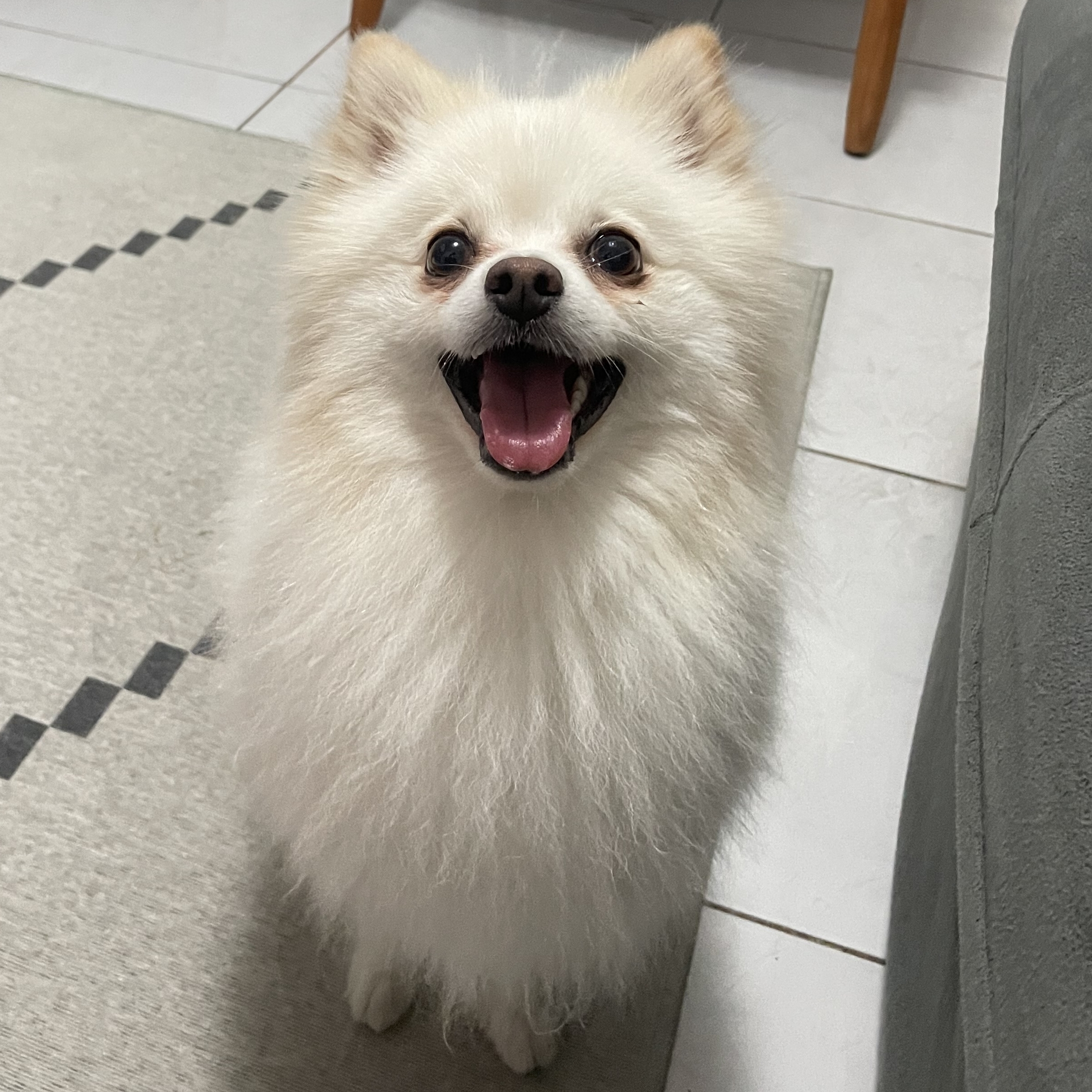 Bruce Gabriela Santos 