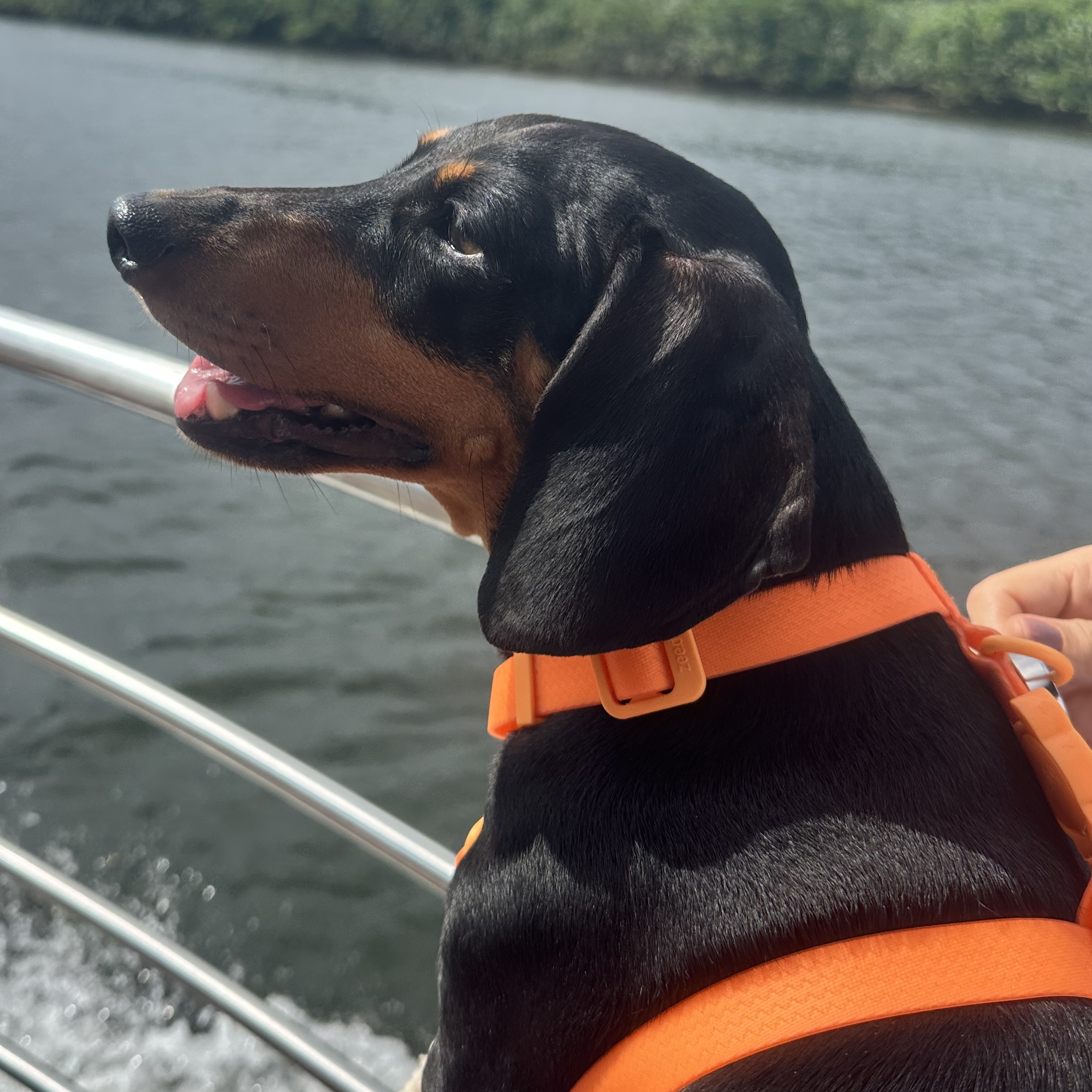 Luna Maria das Graças 
