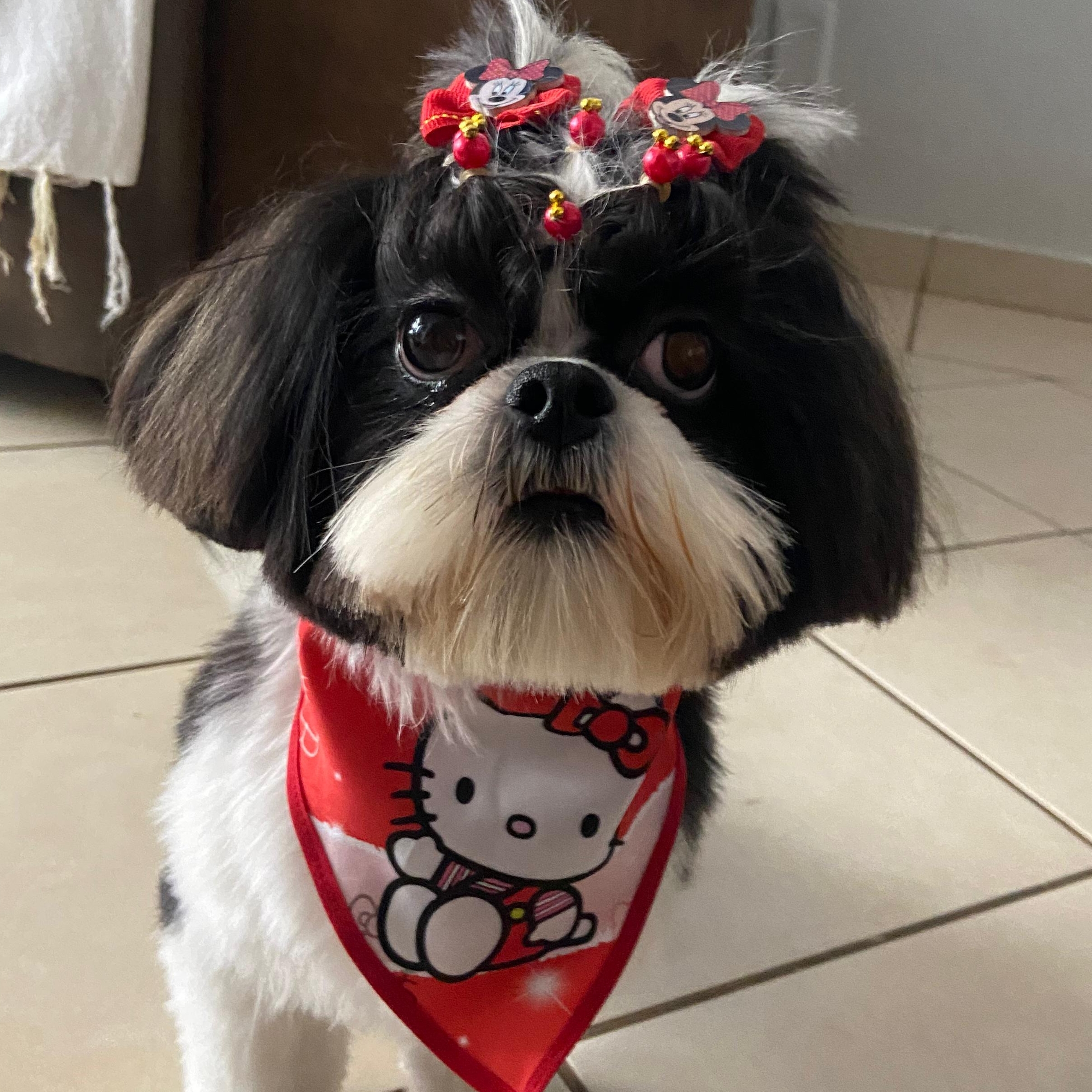 Anahí Marcos