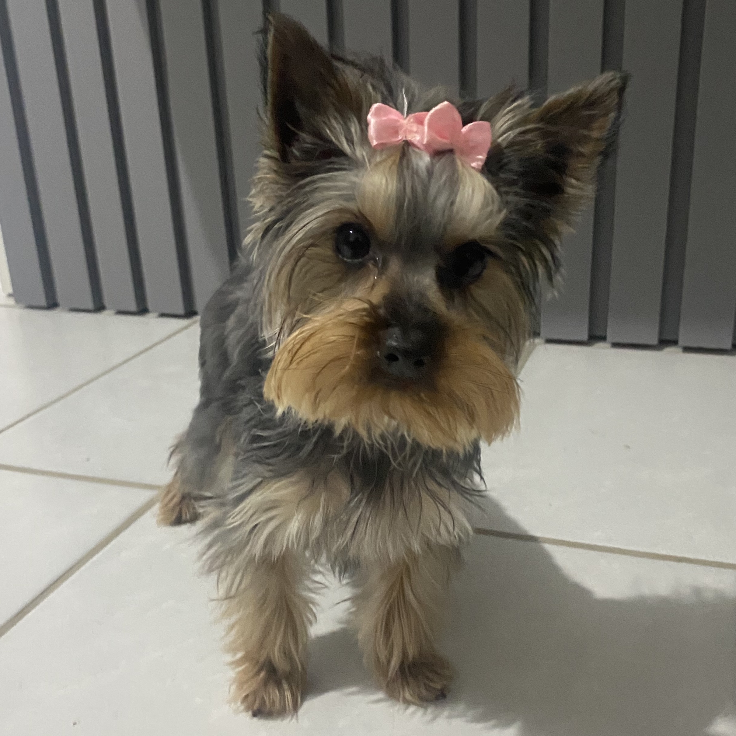 -Luna Sharon Bierhals