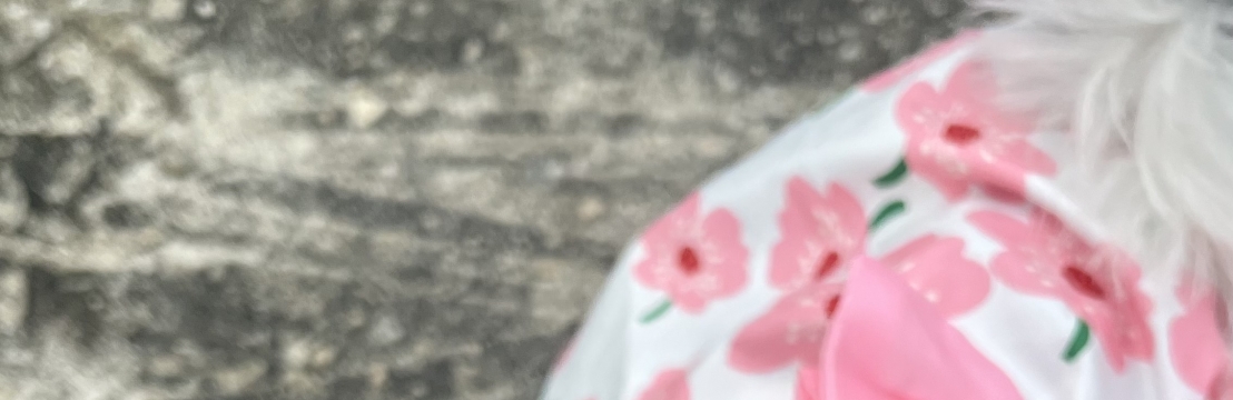 -Maya-Jaqueline Rezende 